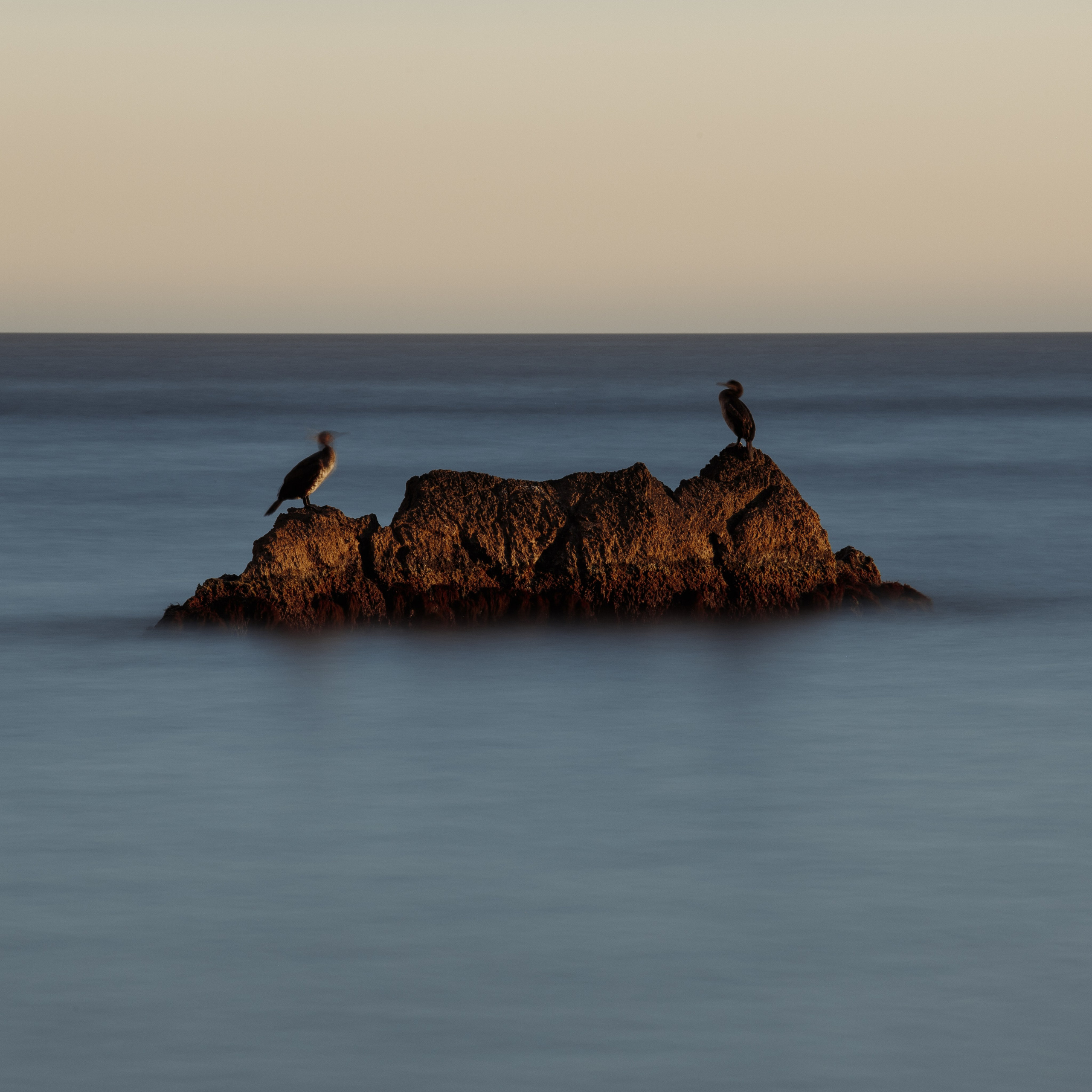 Nature. Артем Корнев Фотограф