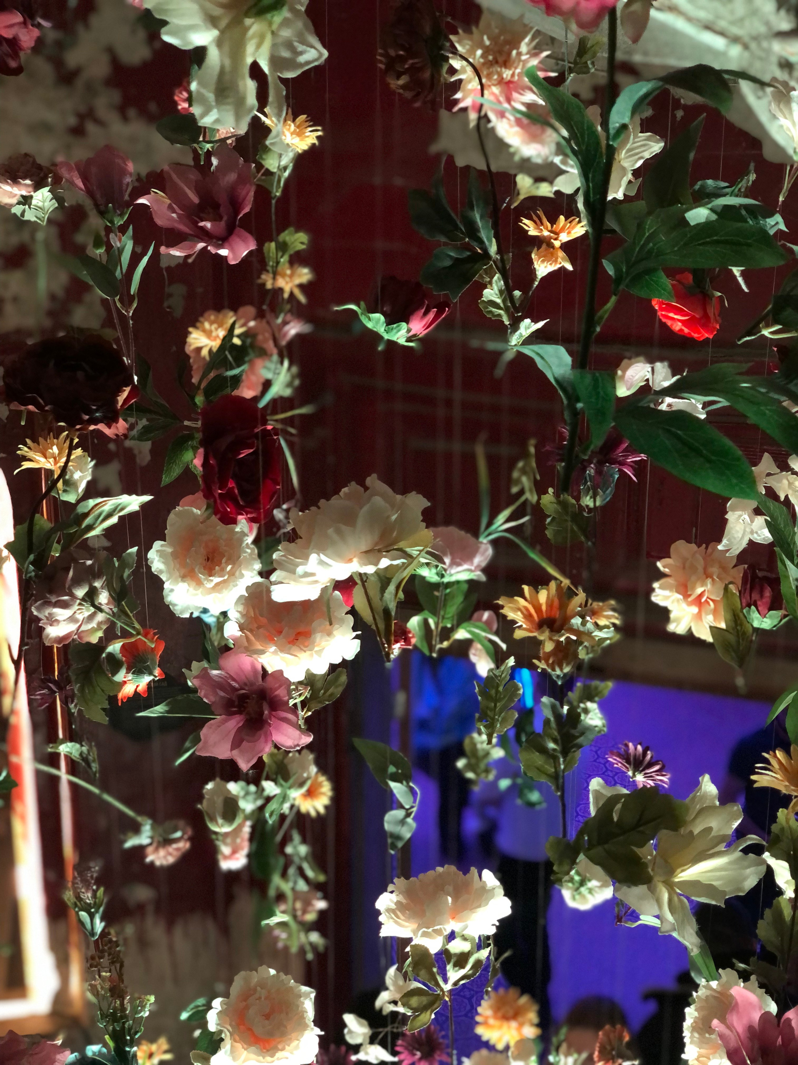 Октябрь. Семейный, Свадебный фотограф СПБ Питер— Романова Екатерина