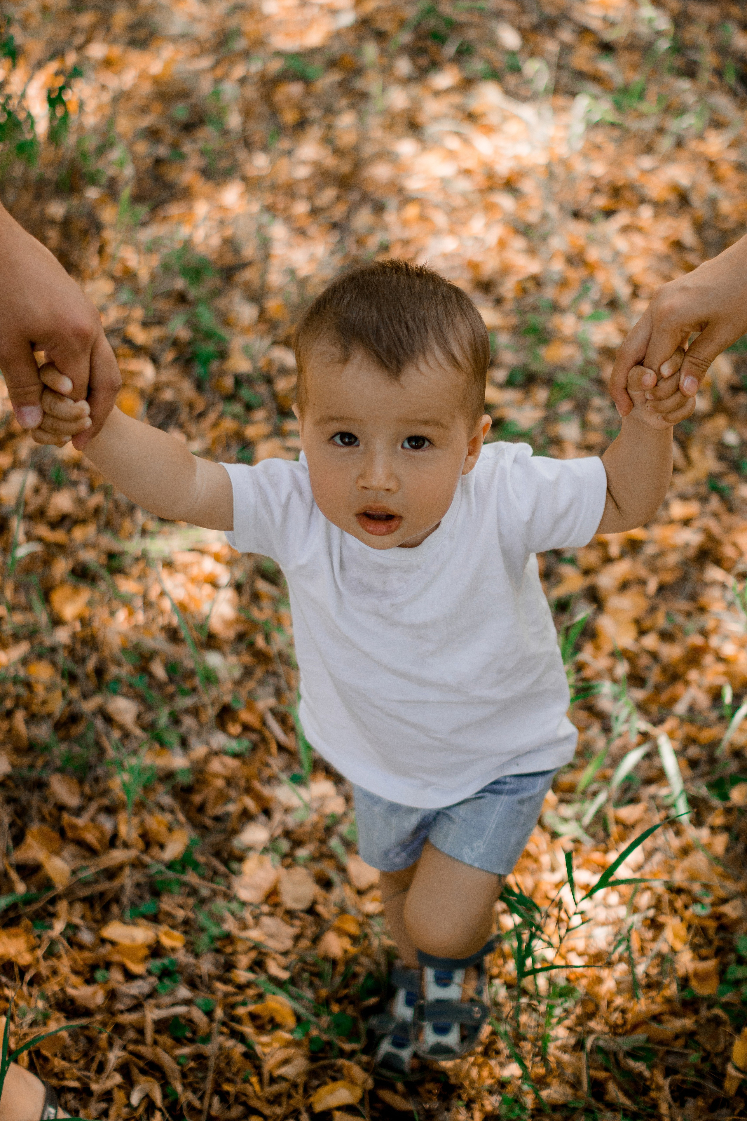 Семья Гайнуллиных на фотосессии «Пикник». Фотограф Мурманск Лилия Маер