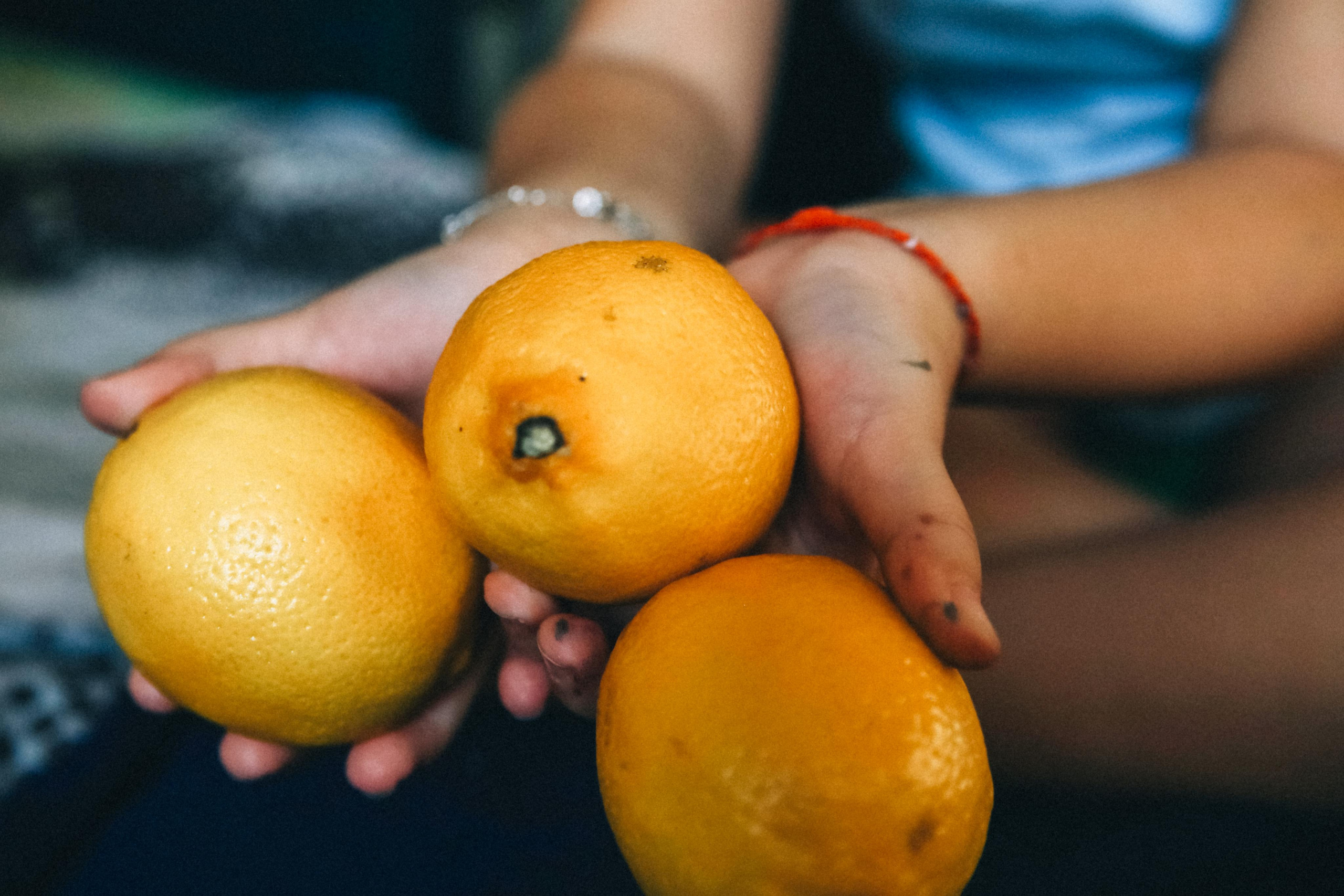 «Сёстры» (лайфстайл домашняя съемка). Фотограф Мурманск Лилия Маер