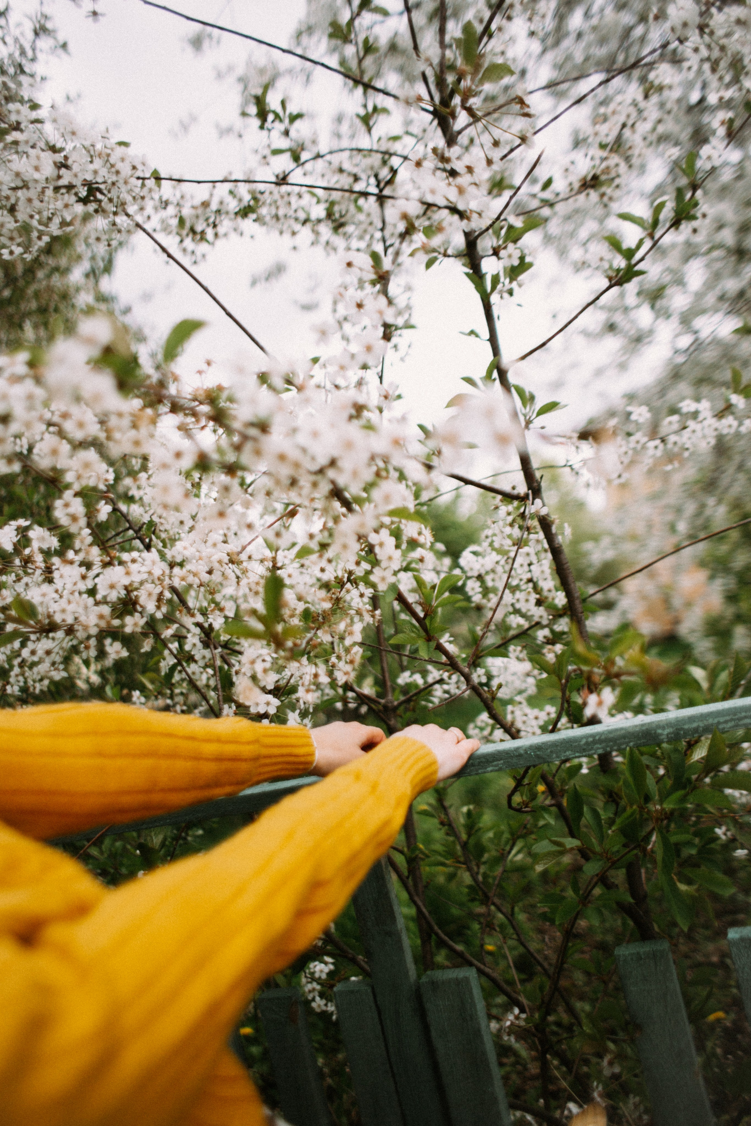 Аня. Майский жёлтый. Фотограф в Нижнем Новгороде