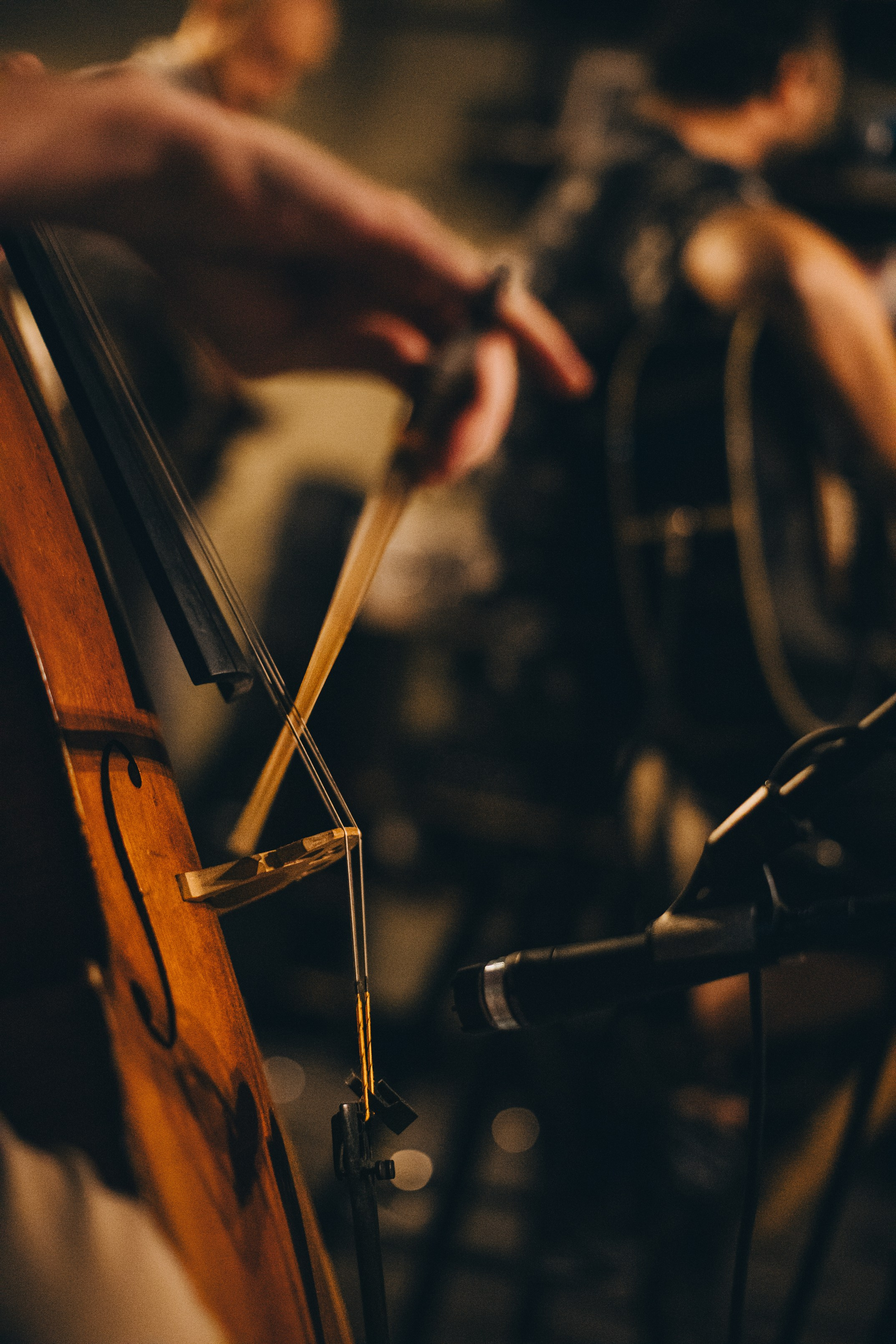 Director & Visual Artist. Zoya Smirnova | Visual Artist & Director