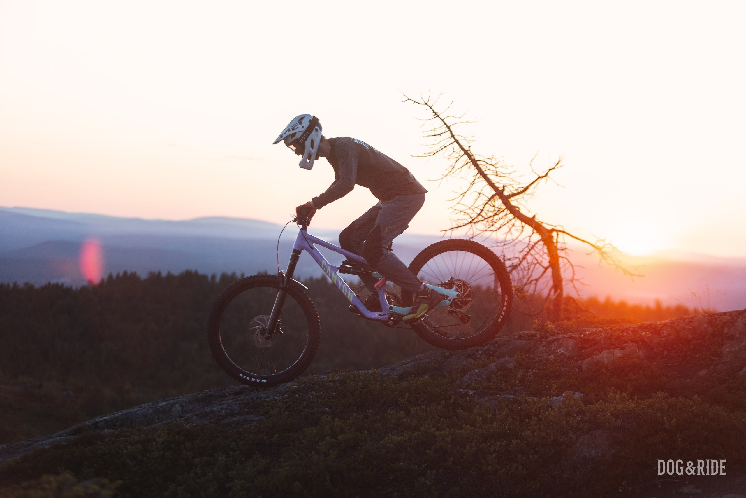 Кандалакшка. Фотограф анималист Никита Натальный