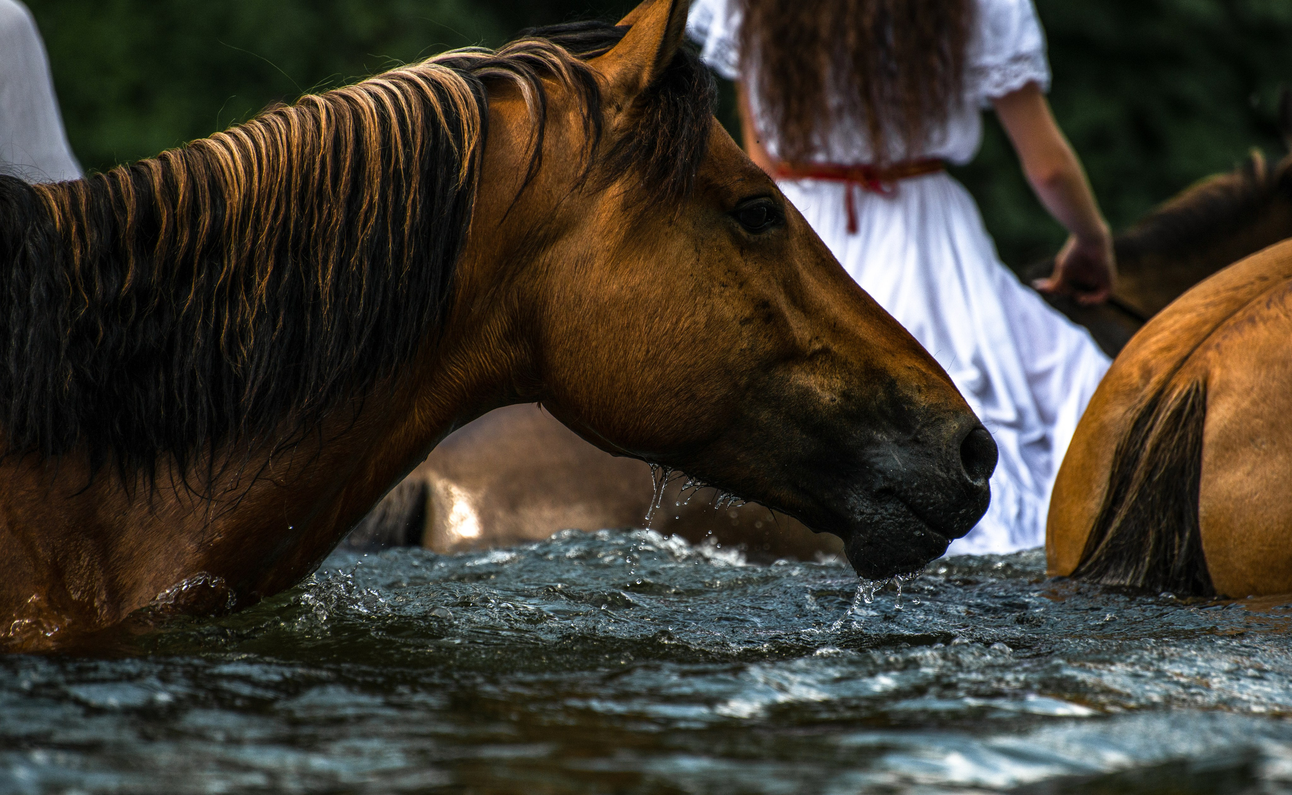 Купала в Родославном. Конный фотограф в Саратове Юлия Иванова