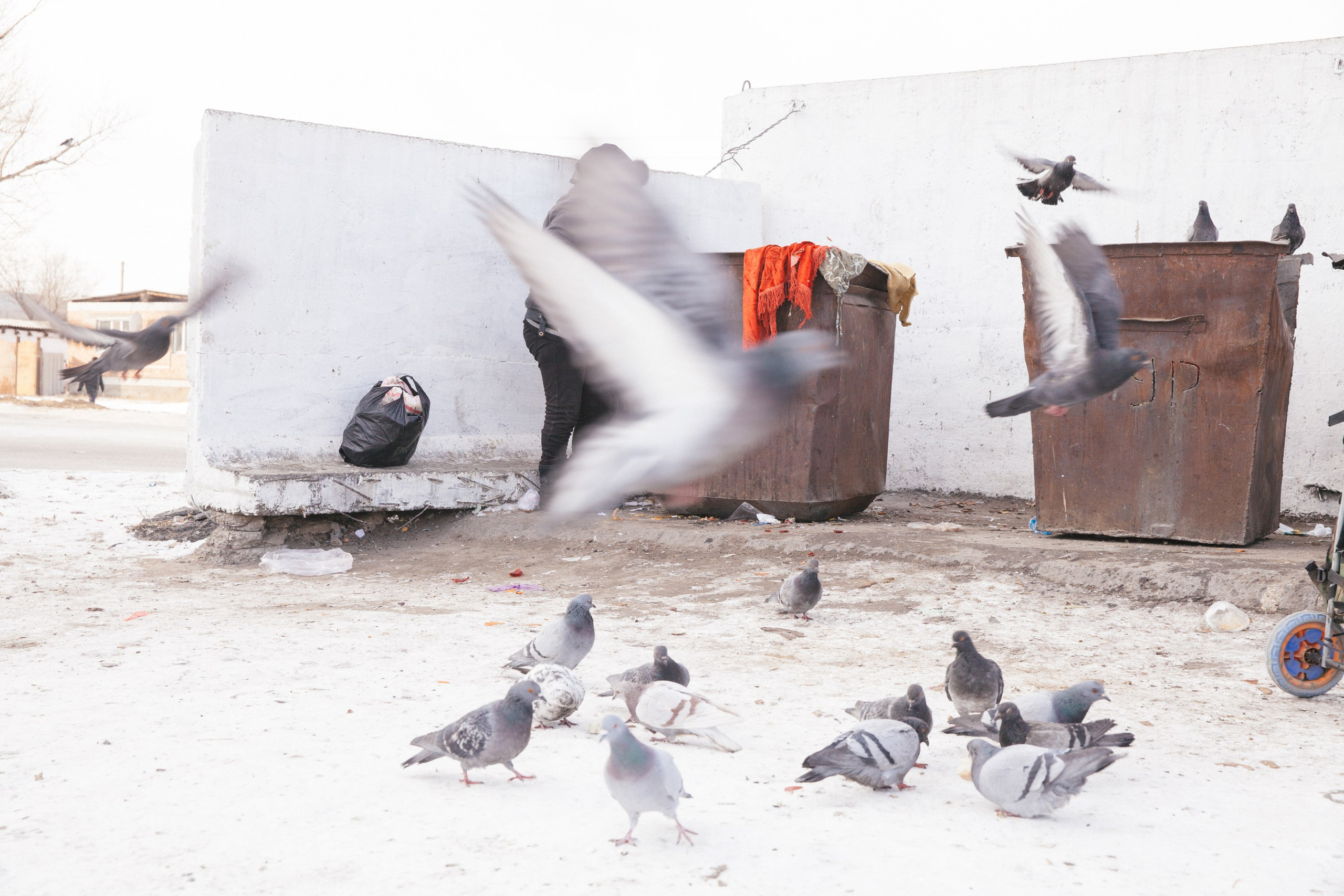 Freedom. Lena Sorokina photographer, Astana, Kazakhstan