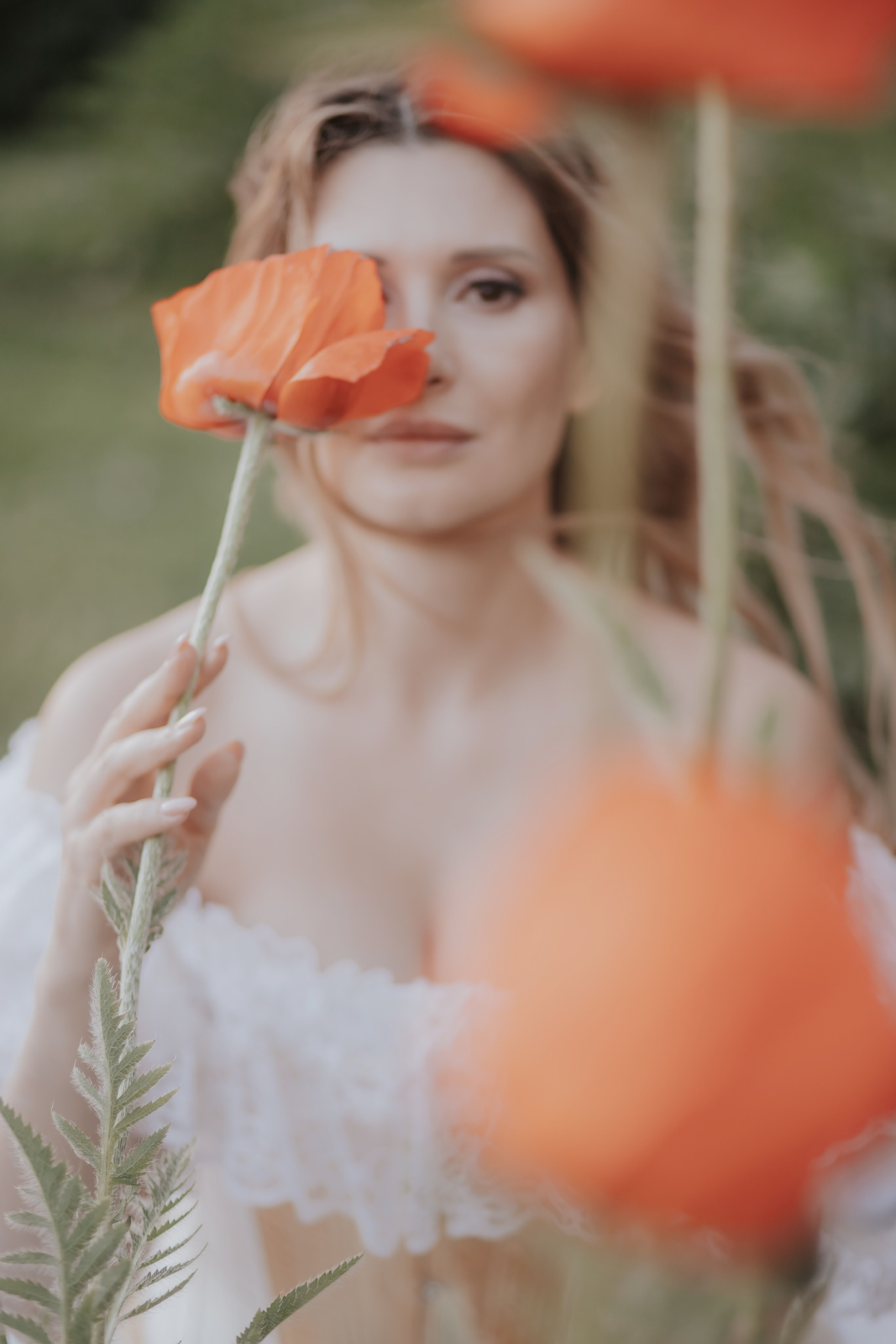 Маки. Художественная винтажная фотография