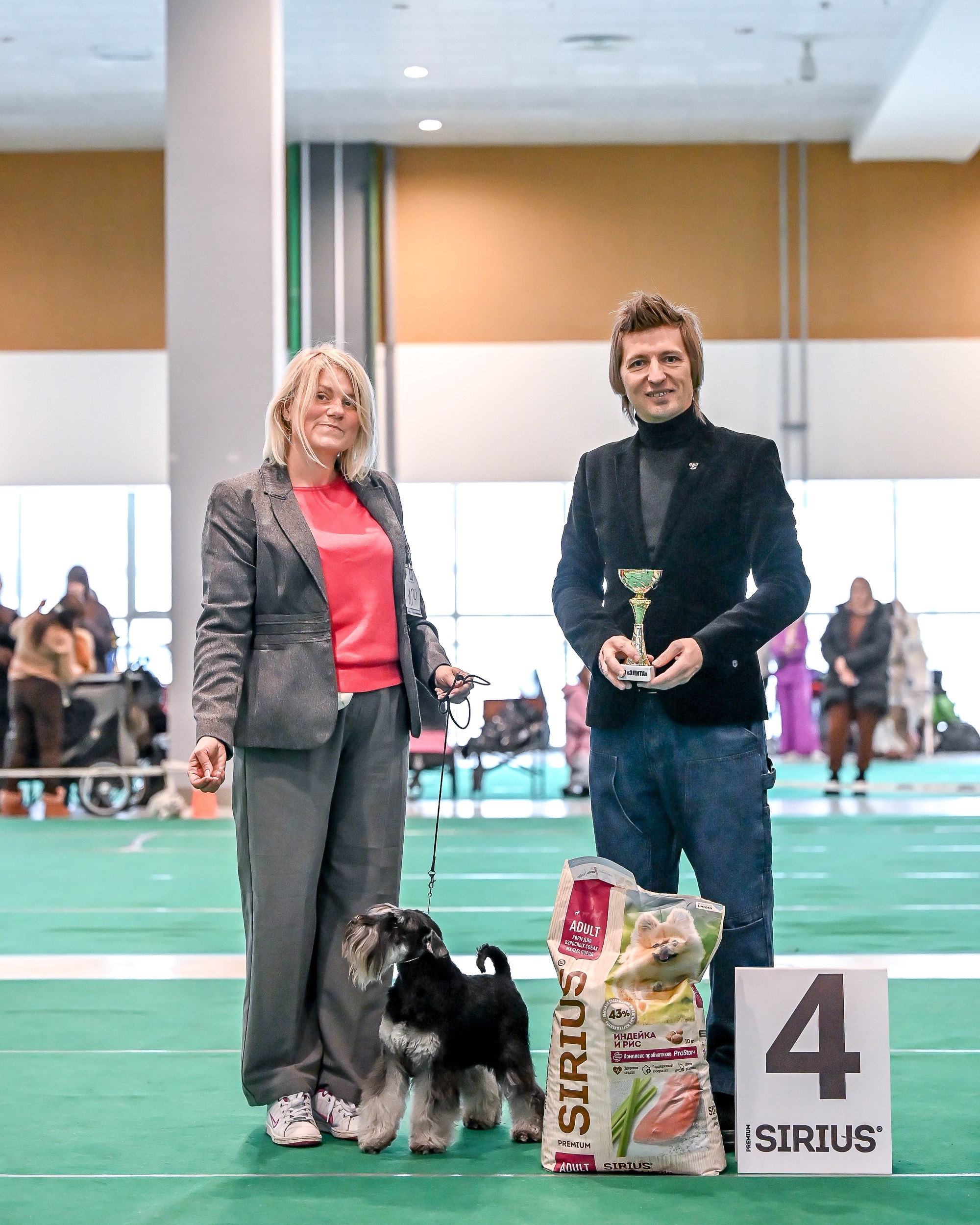 Бъянка/ Delinso Balance Cinzano Bianco. Питомник цвергшнауцеров в Беларуси «Делинсо Бэлэнс»