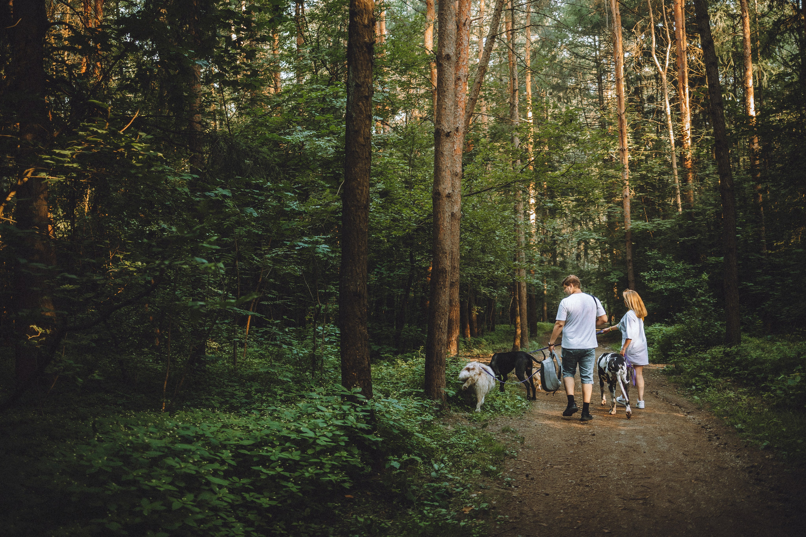Катя, Андрей, Гектор, Ричи, Тортик и Трой