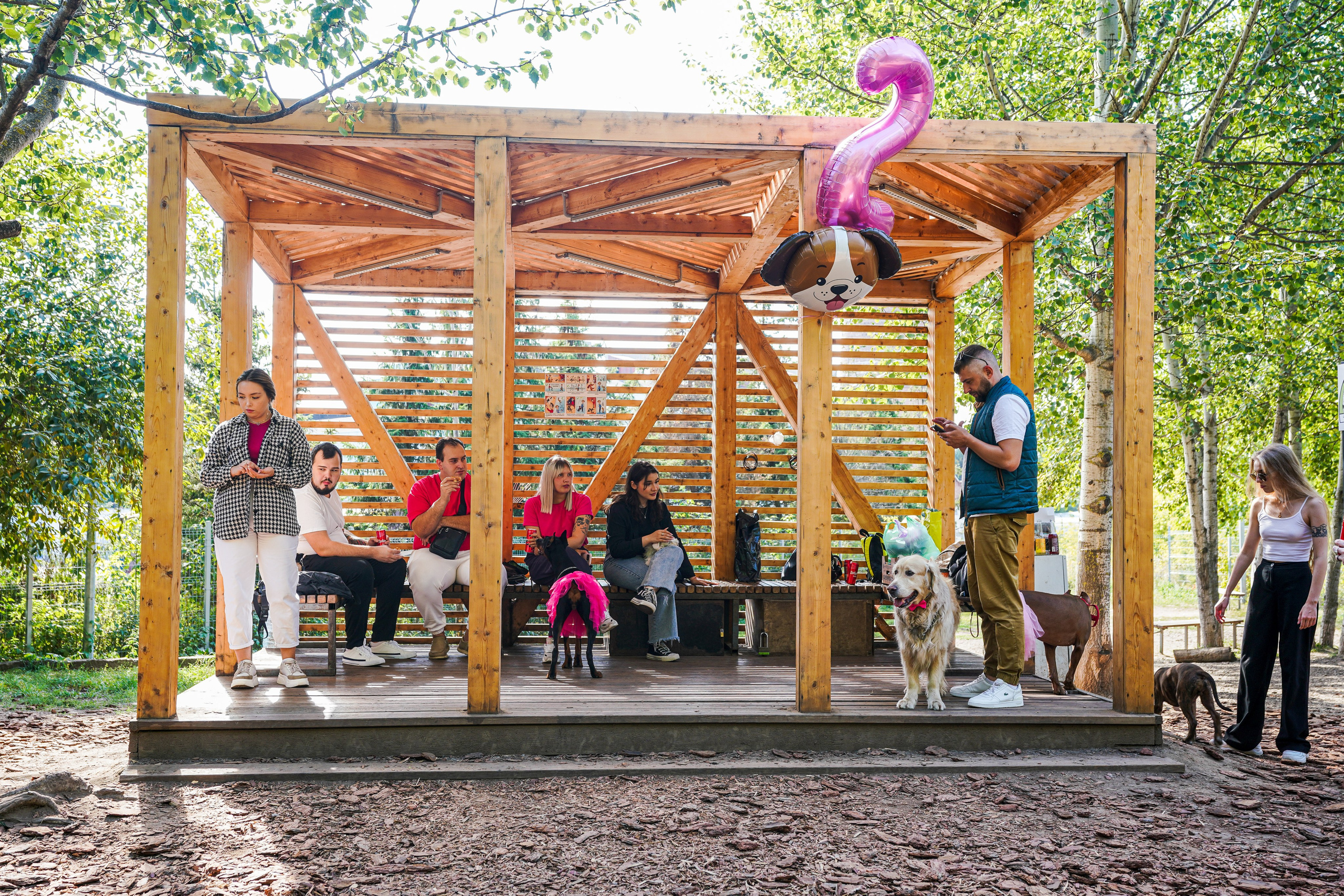 ДР собаки по имени Моррис :). Фотограф Казань