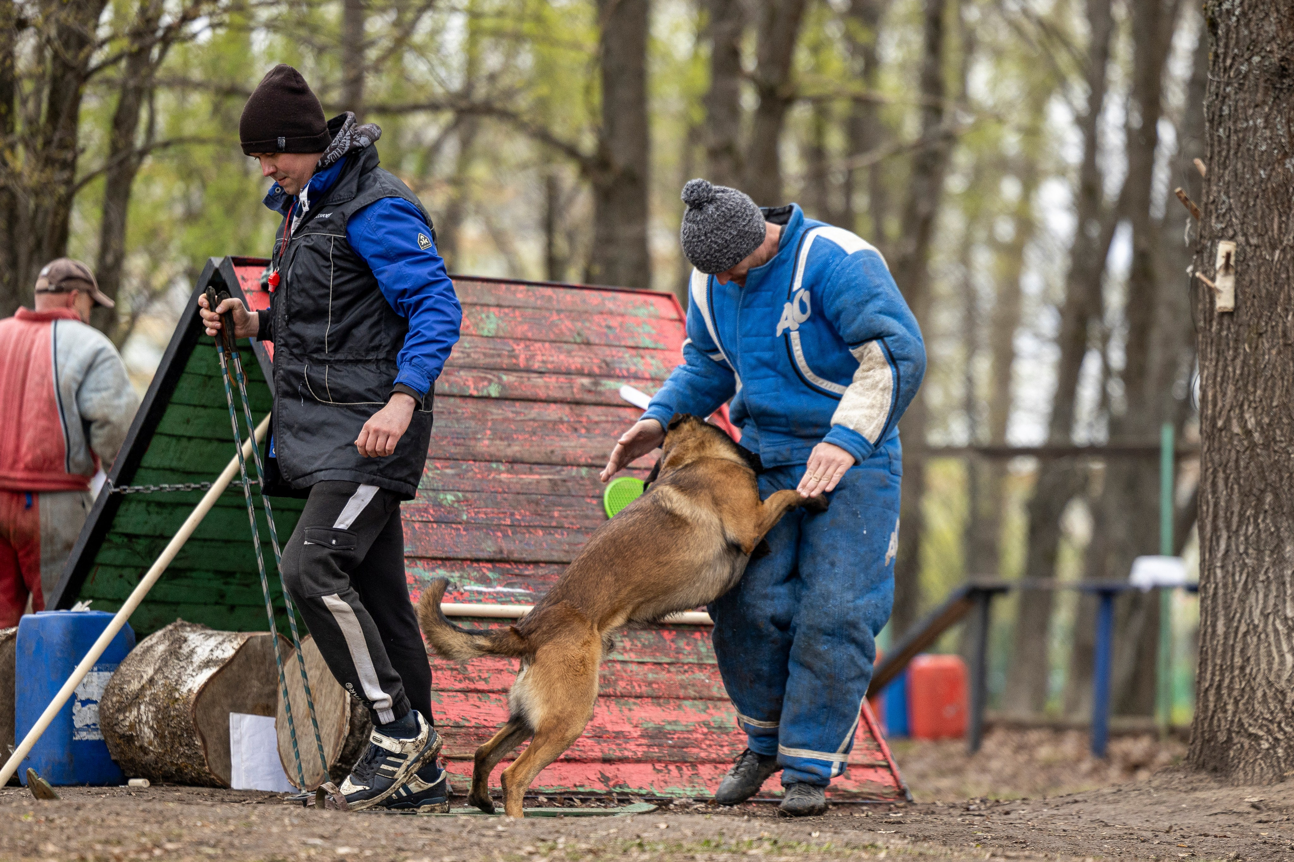Квалификационные состязания по мондьорингу г. Вологда 11.05.24. Фотограф-анималист Анна Маринич