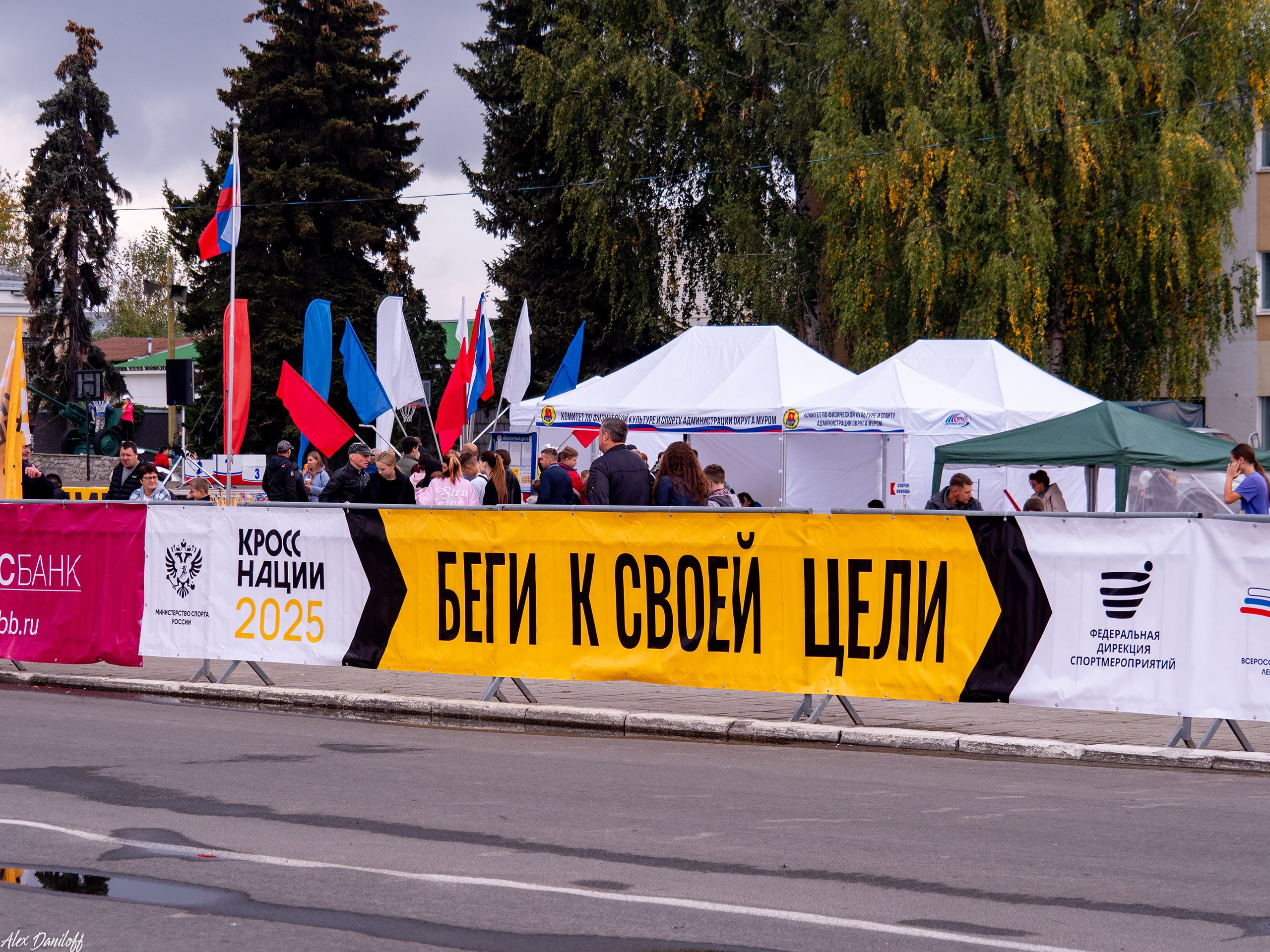 Кросс нации 25. Муром-Инфо. Новости культуры, образования, спорта в городе Муром