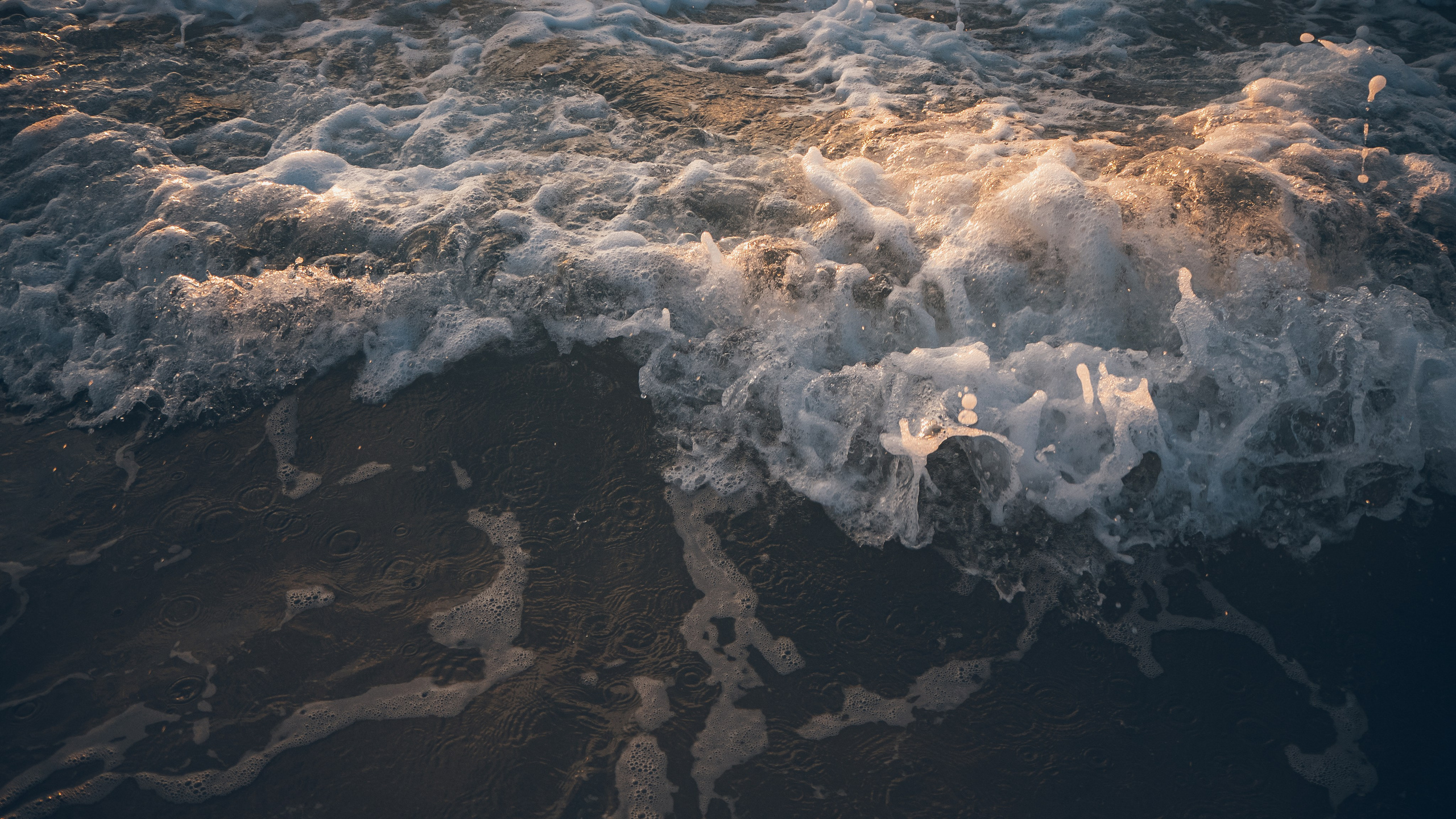 Израиль. Свадебный фотограф Копков Геннадий
