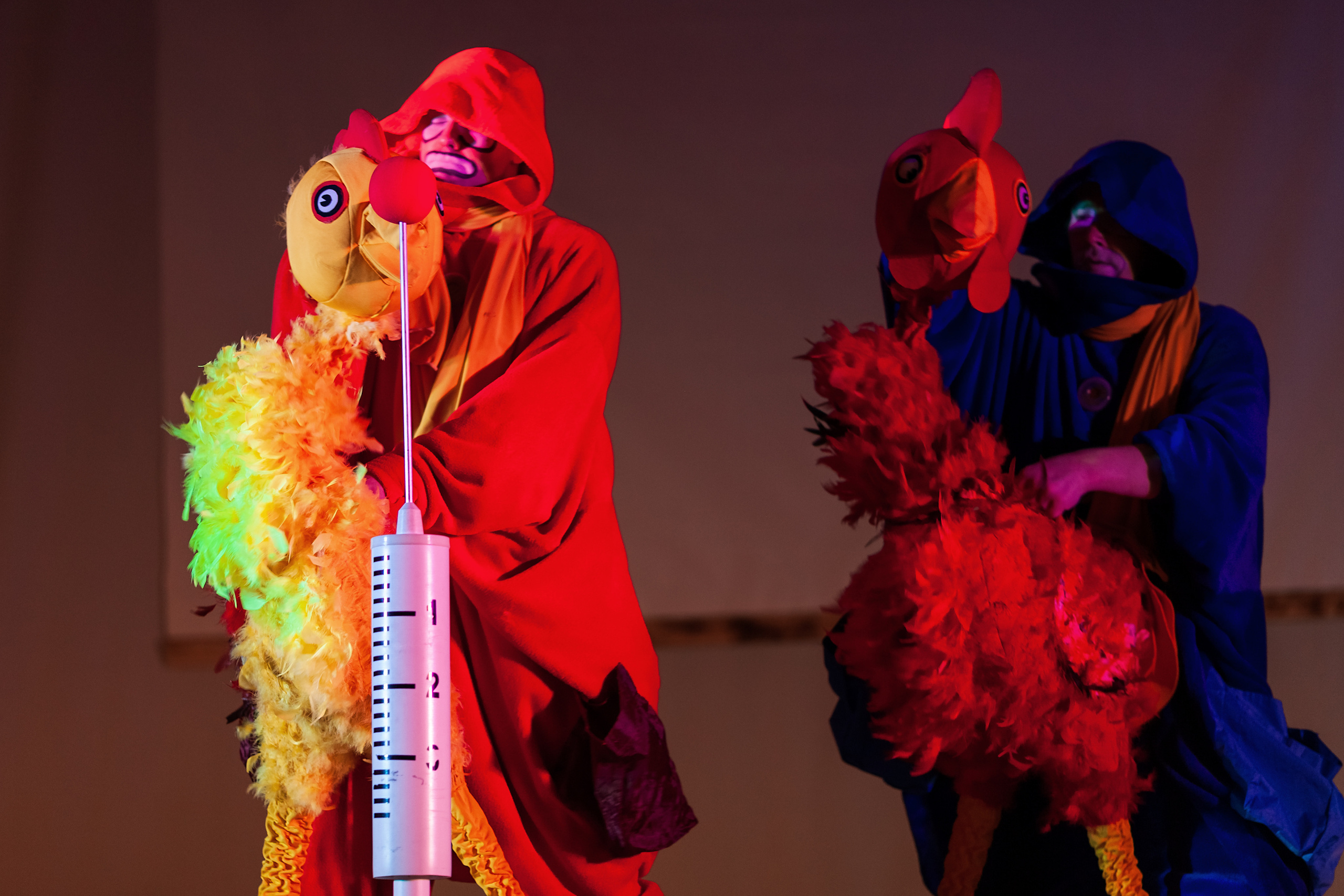 Цирк!. Детский, семейный фотограф в Южно-Сахалинске, Невельске и Холмске