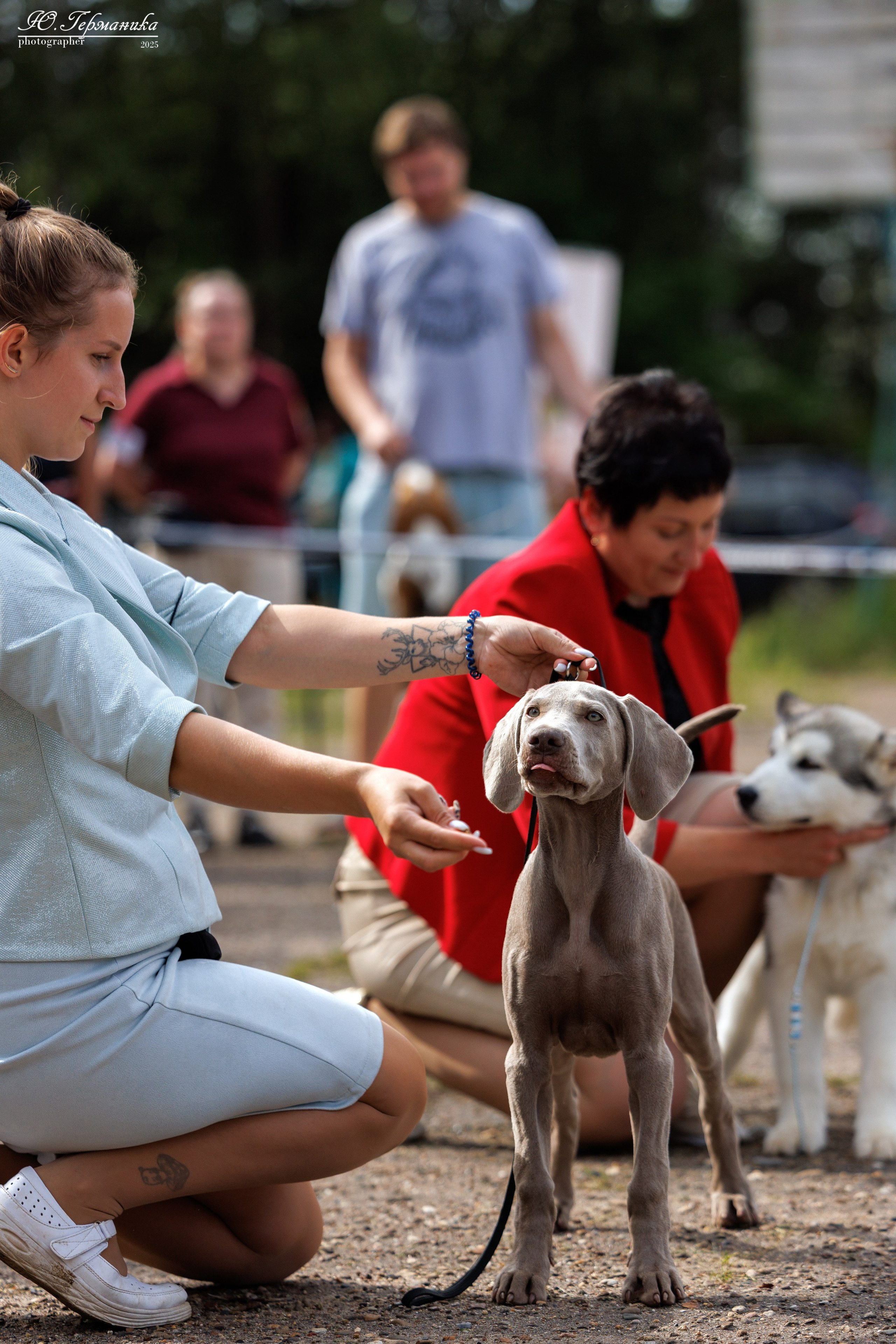 Тверь 10.08.2025. Фотограф-анималист Юлия Германика