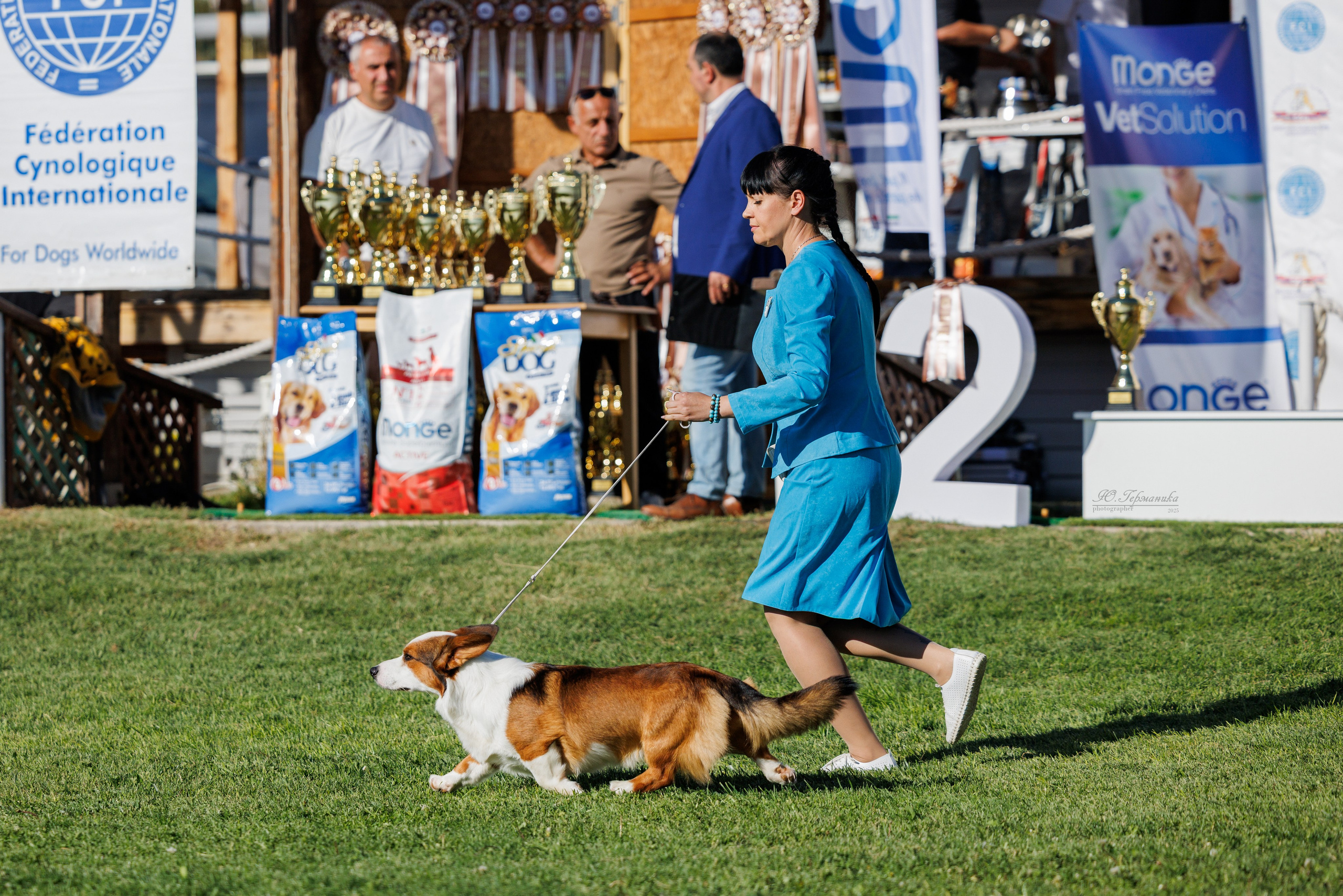 Ереван 14-16.10.2025. Фотограф-анималист Юлия Германика
