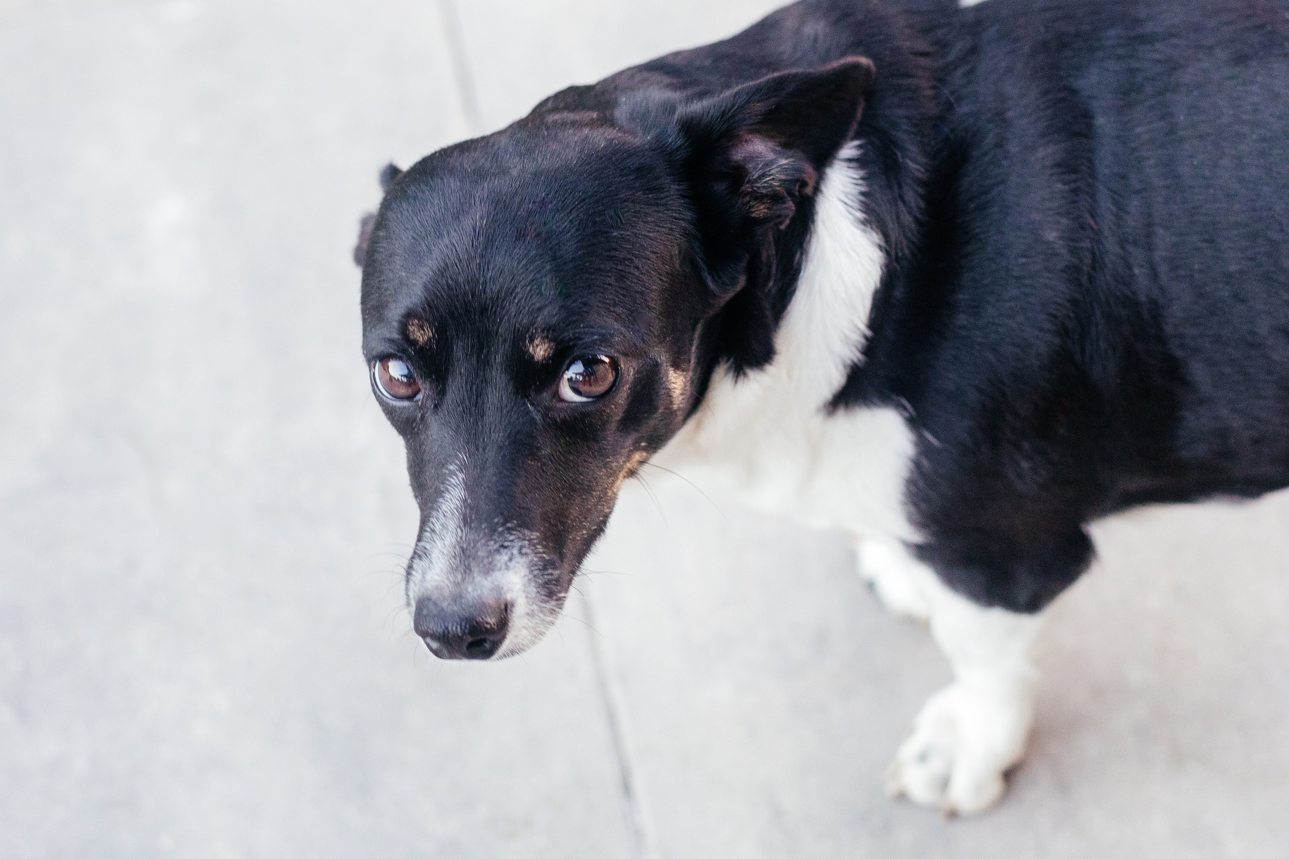 Семейный фотограф. Красильников Евгений — профессиональный фотограф в Ростове-на-Дону