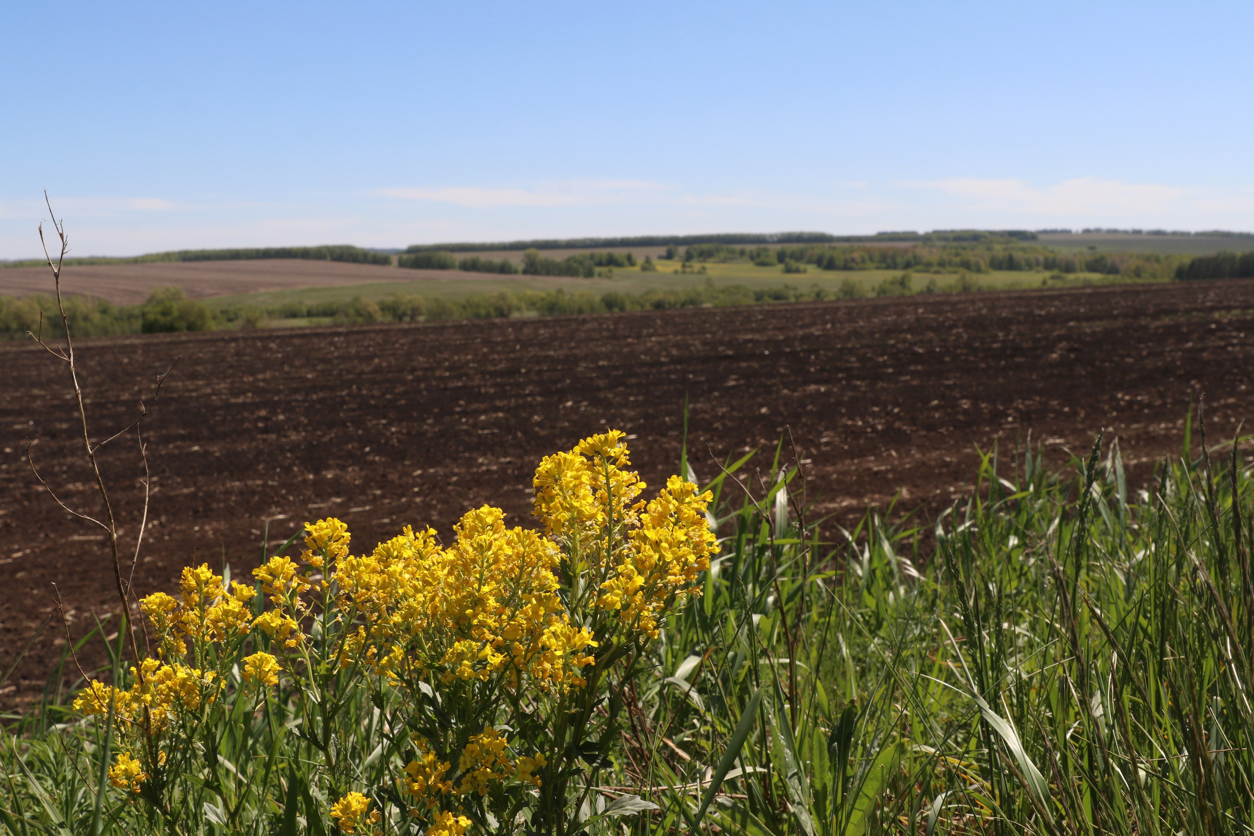 Велопоход Уфа — Мелеуз. Май 2024. Путешественник-фотограф из Санкт-Петербурга Татьяна Свистулина