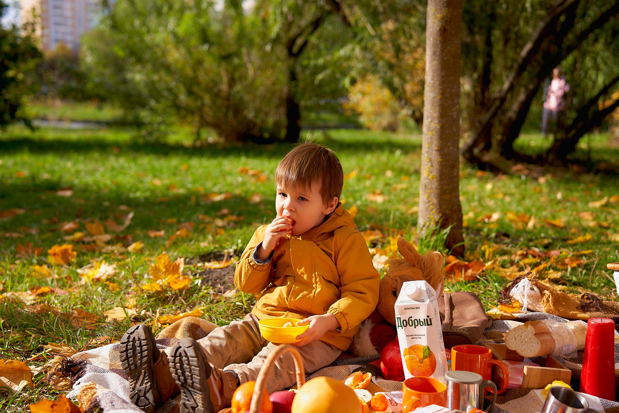 Пикник с корзиной осенняя фотосессия
