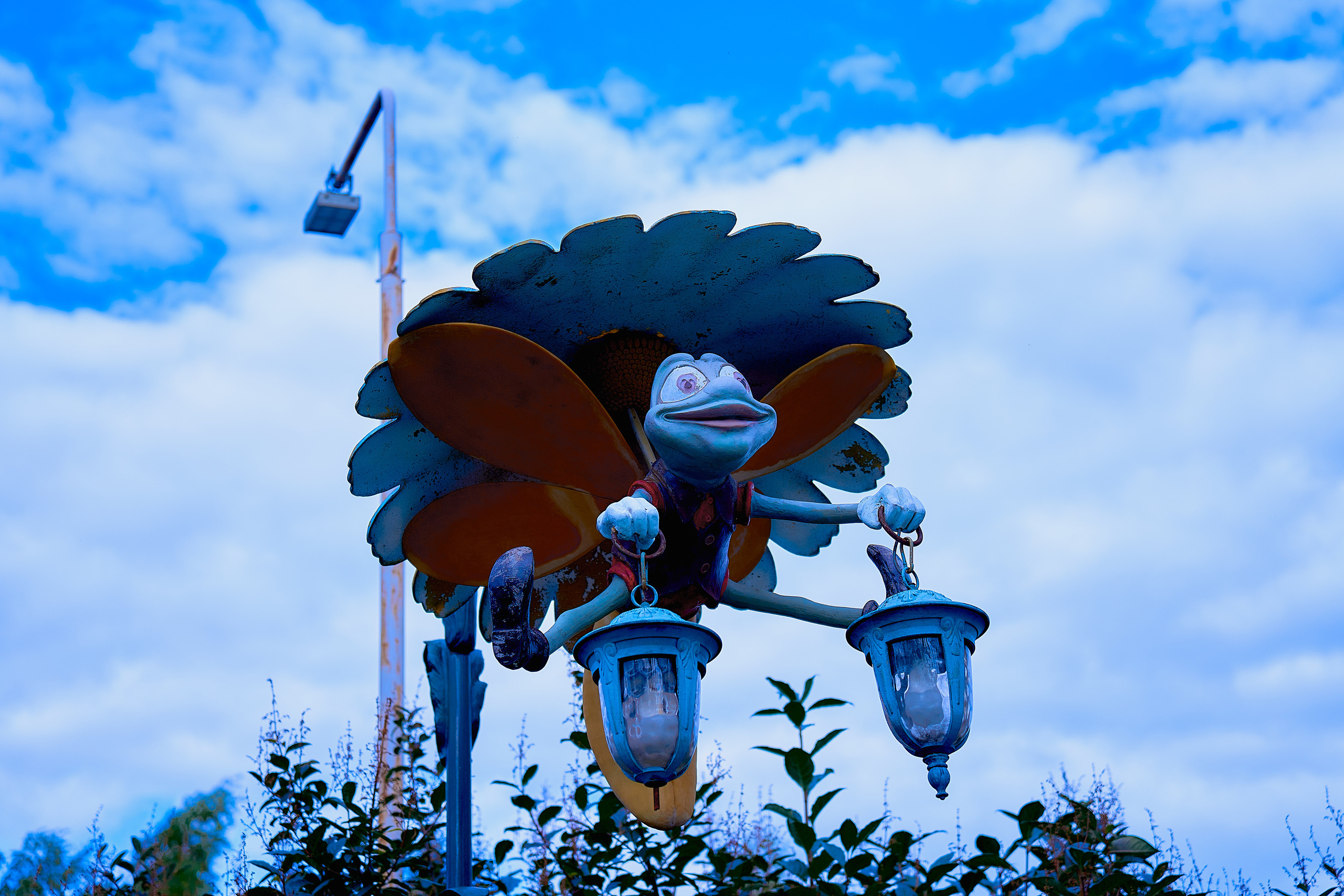 Парк Лукоморье. Фотограф в Москве Алина Алексеева