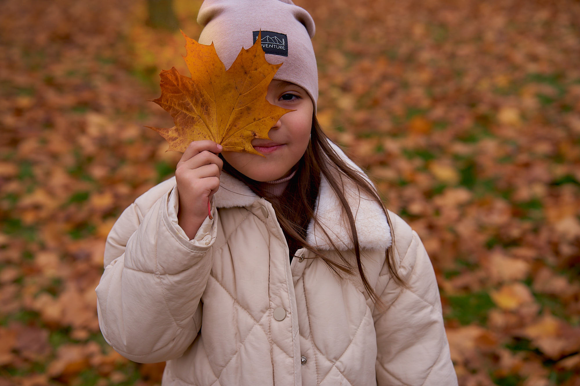 Кленовые осенние листья 