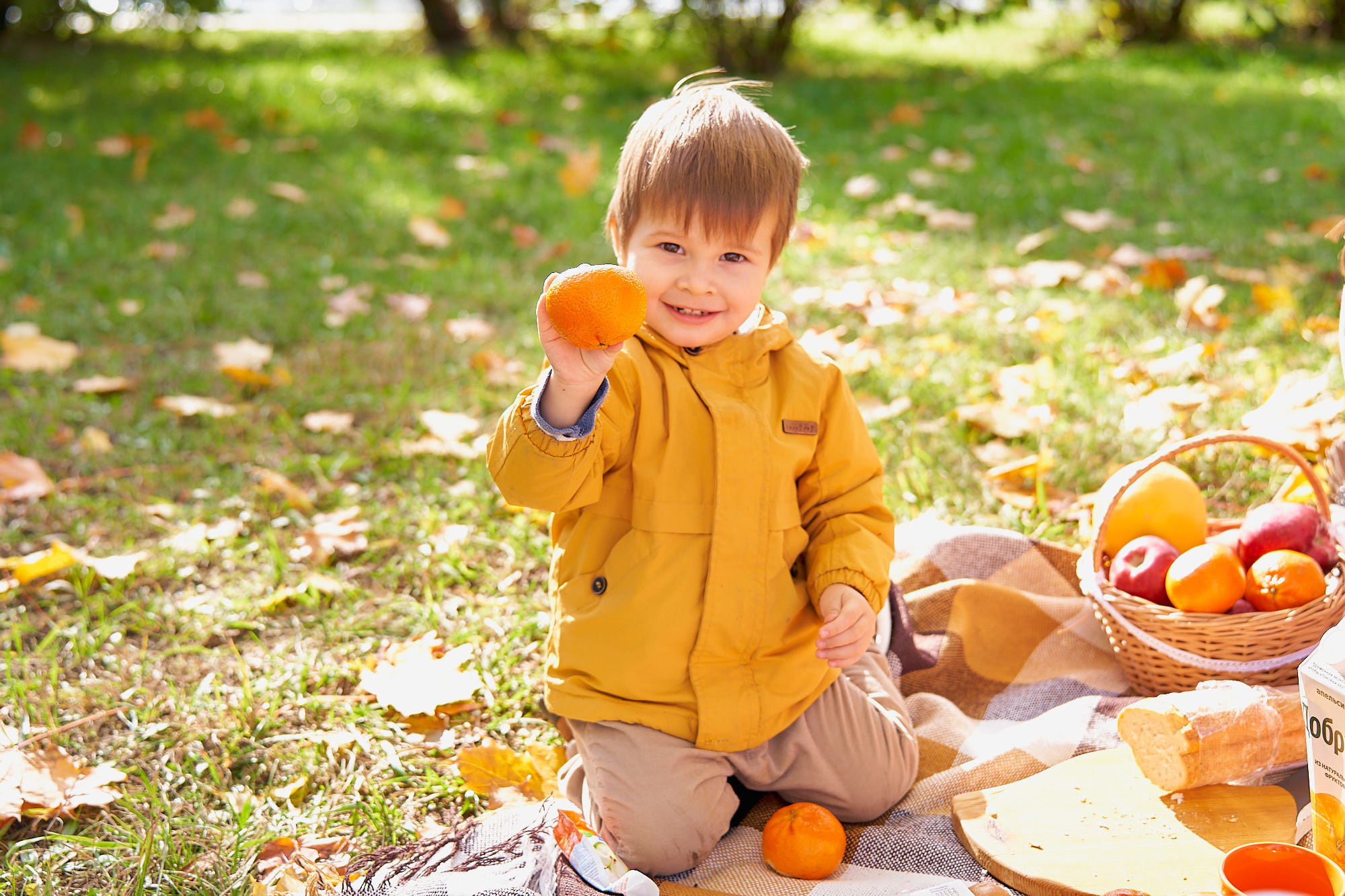 Краски осени. Фотограф в Москве Алина Алексеева
