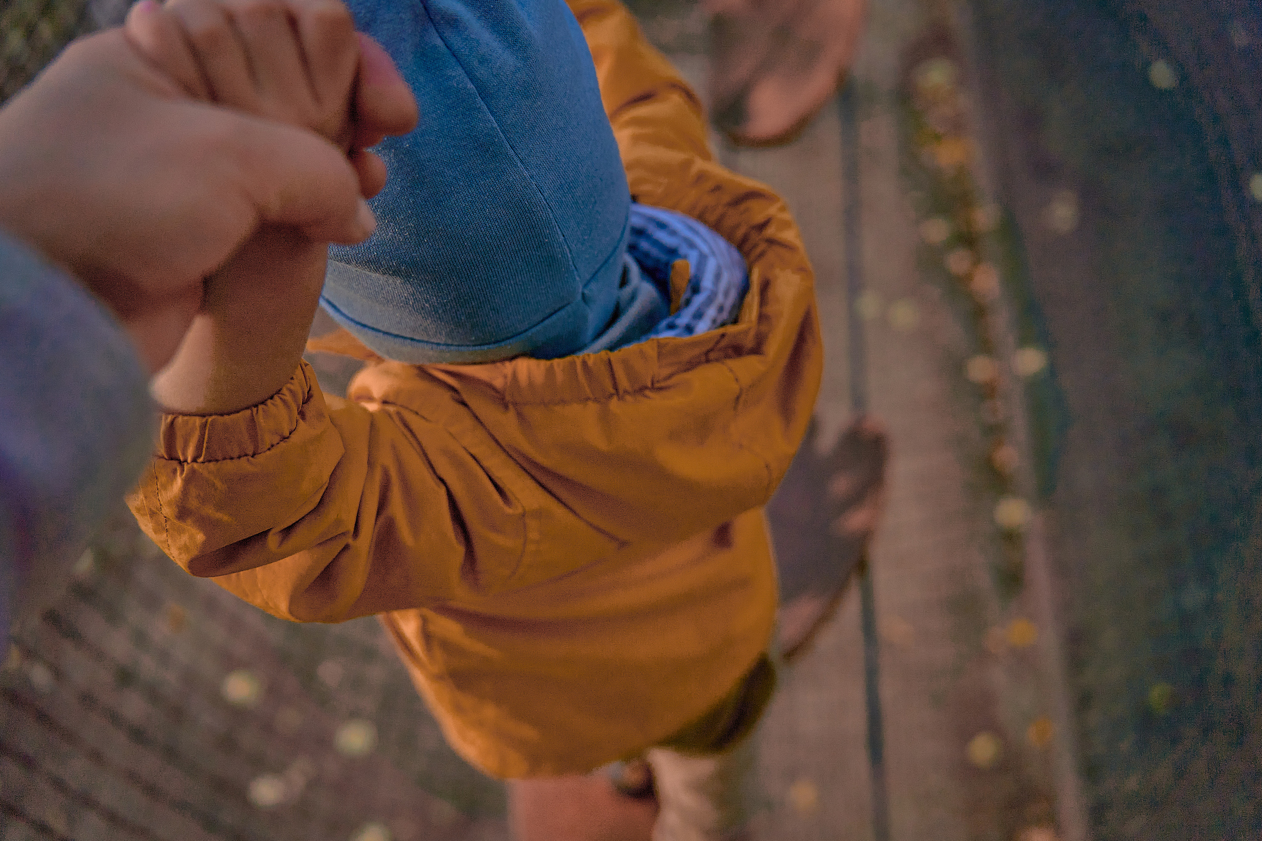 Парк Лукоморье. Фотограф в Москве Алина Алексеева