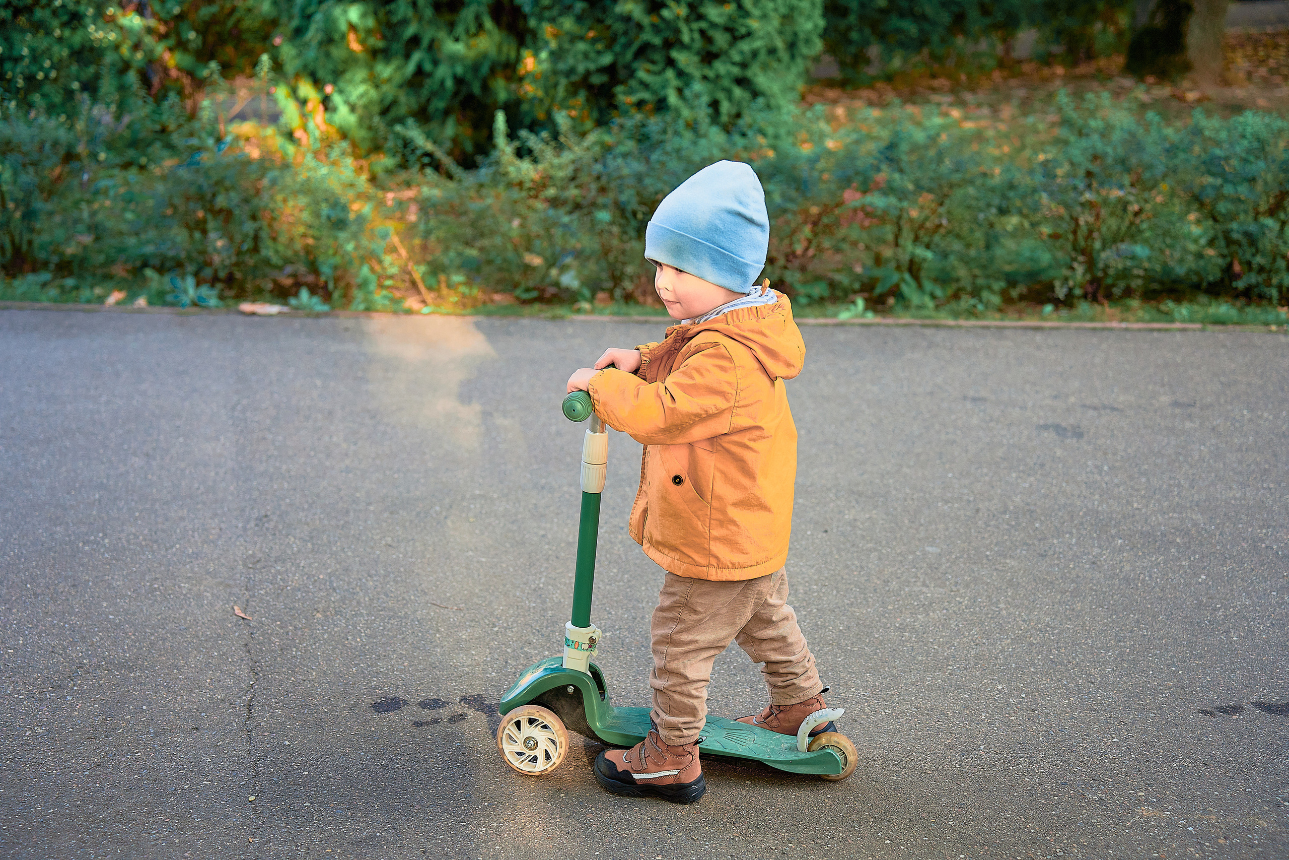 Парк Лукоморье. Фотограф в Москве Алина Алексеева