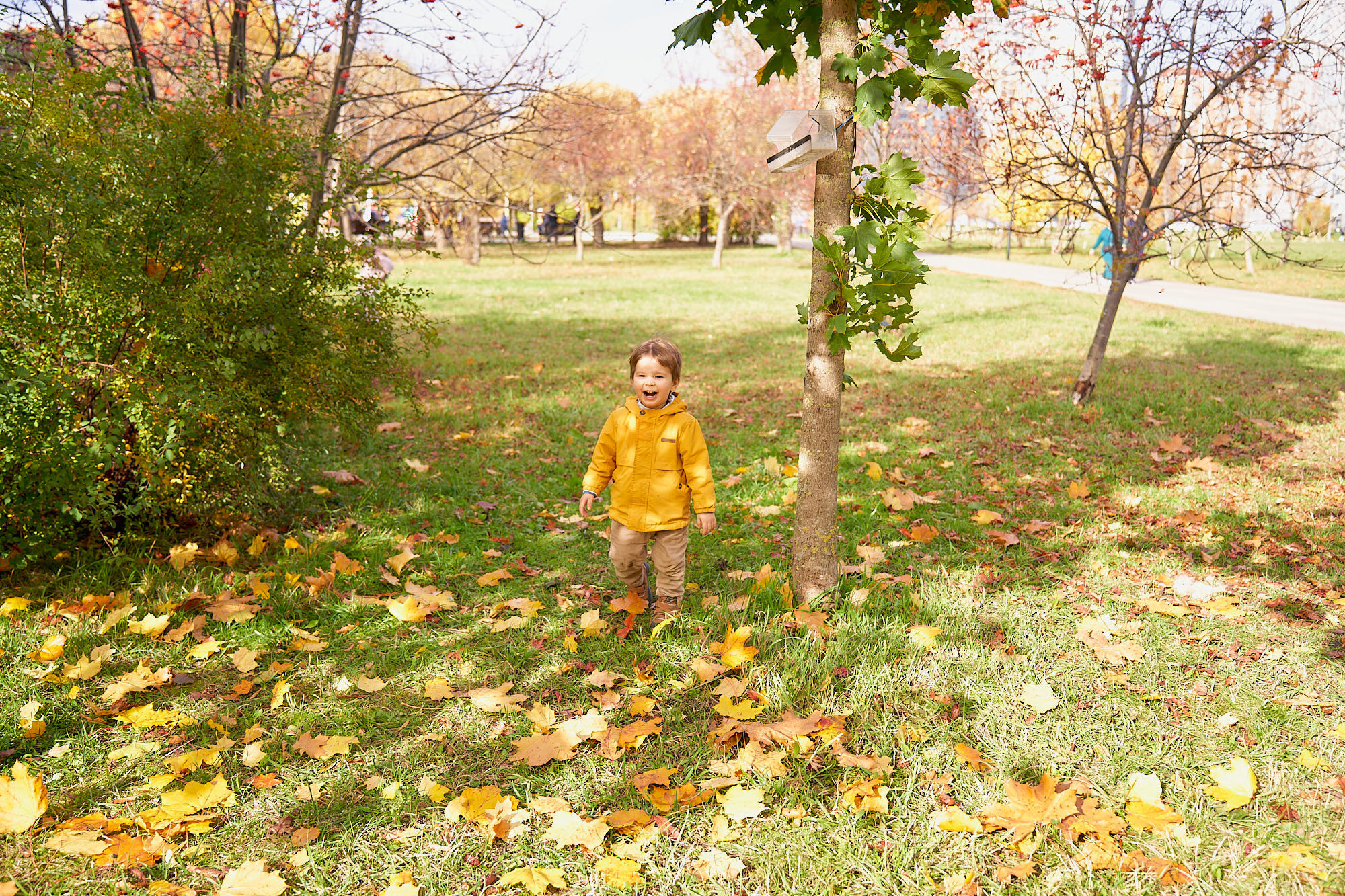 Ландшафтный парк Бутово