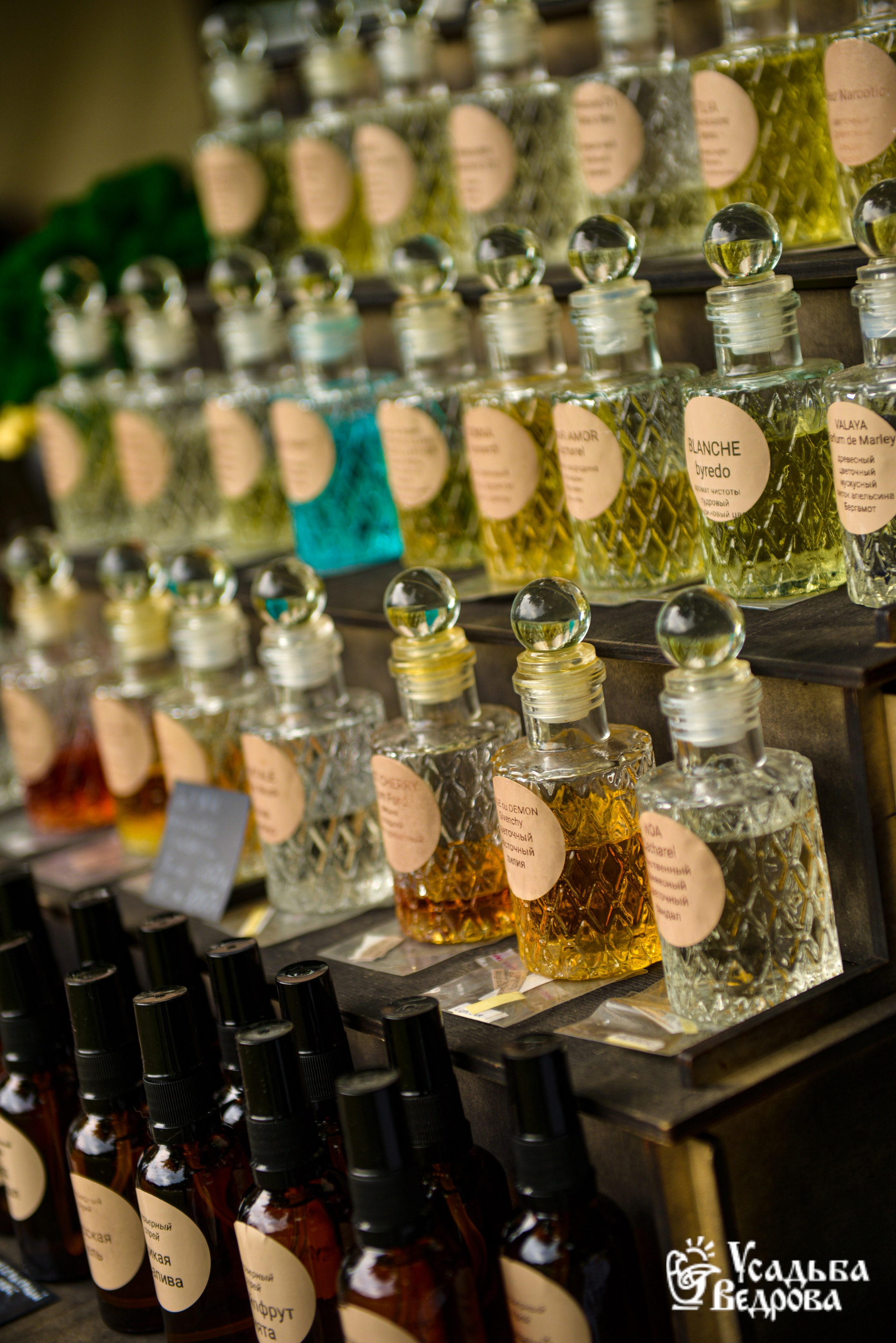 Ведровский погребок 2025. Портретный фотограф Марина Тамбовская