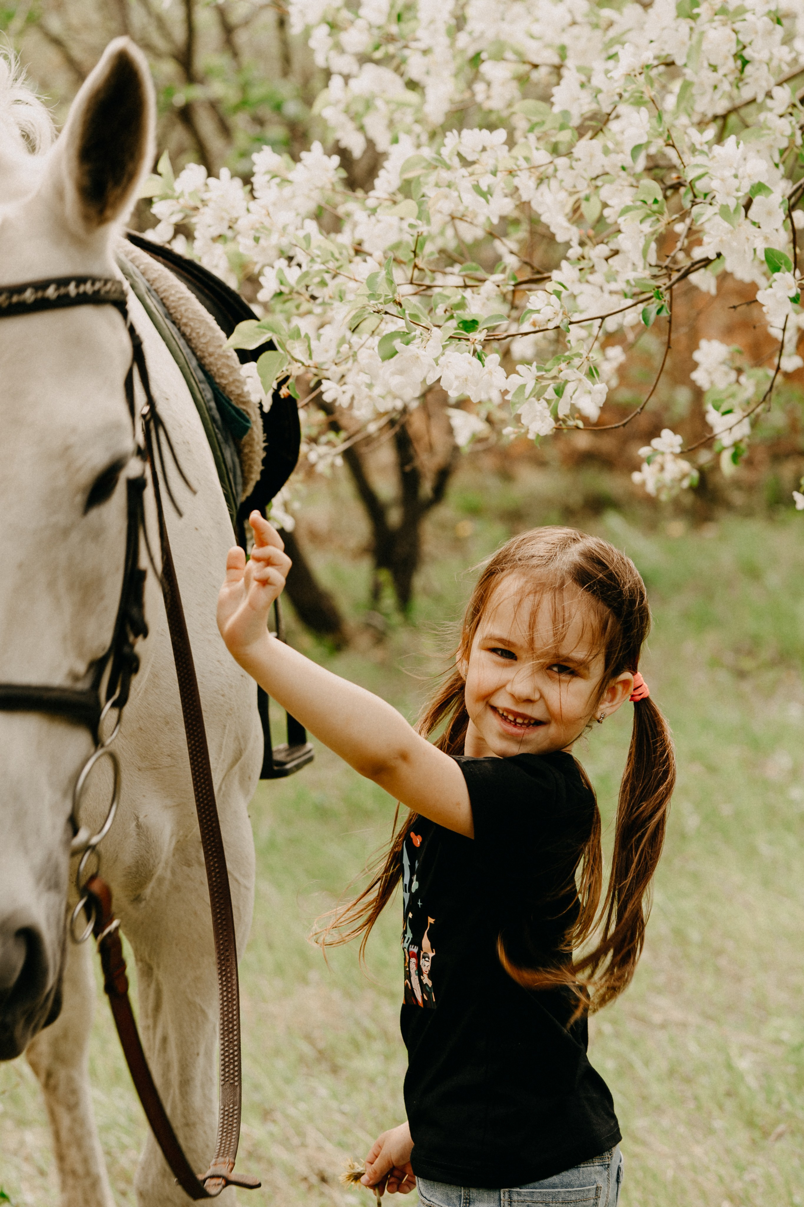 С лошадьми. Главная