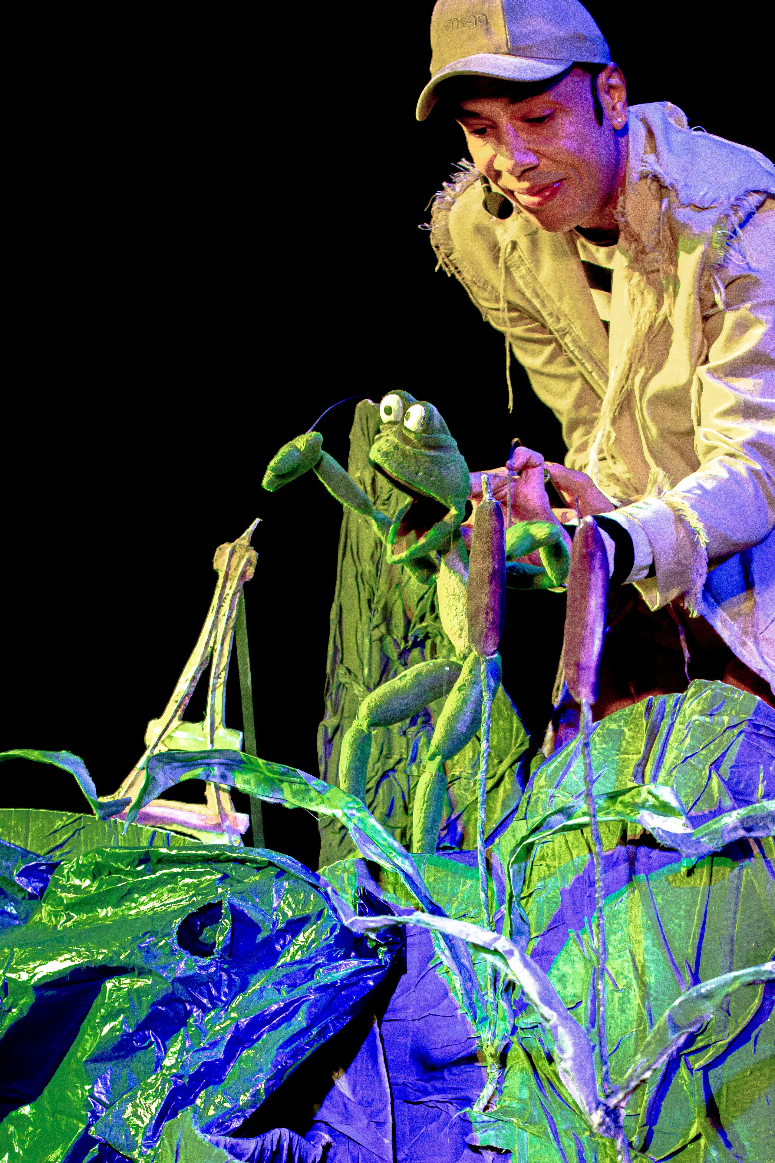 Спектакль театра Саквояж Лягушка путешествиница. Фотограф в Сочи Юрий Шептаев