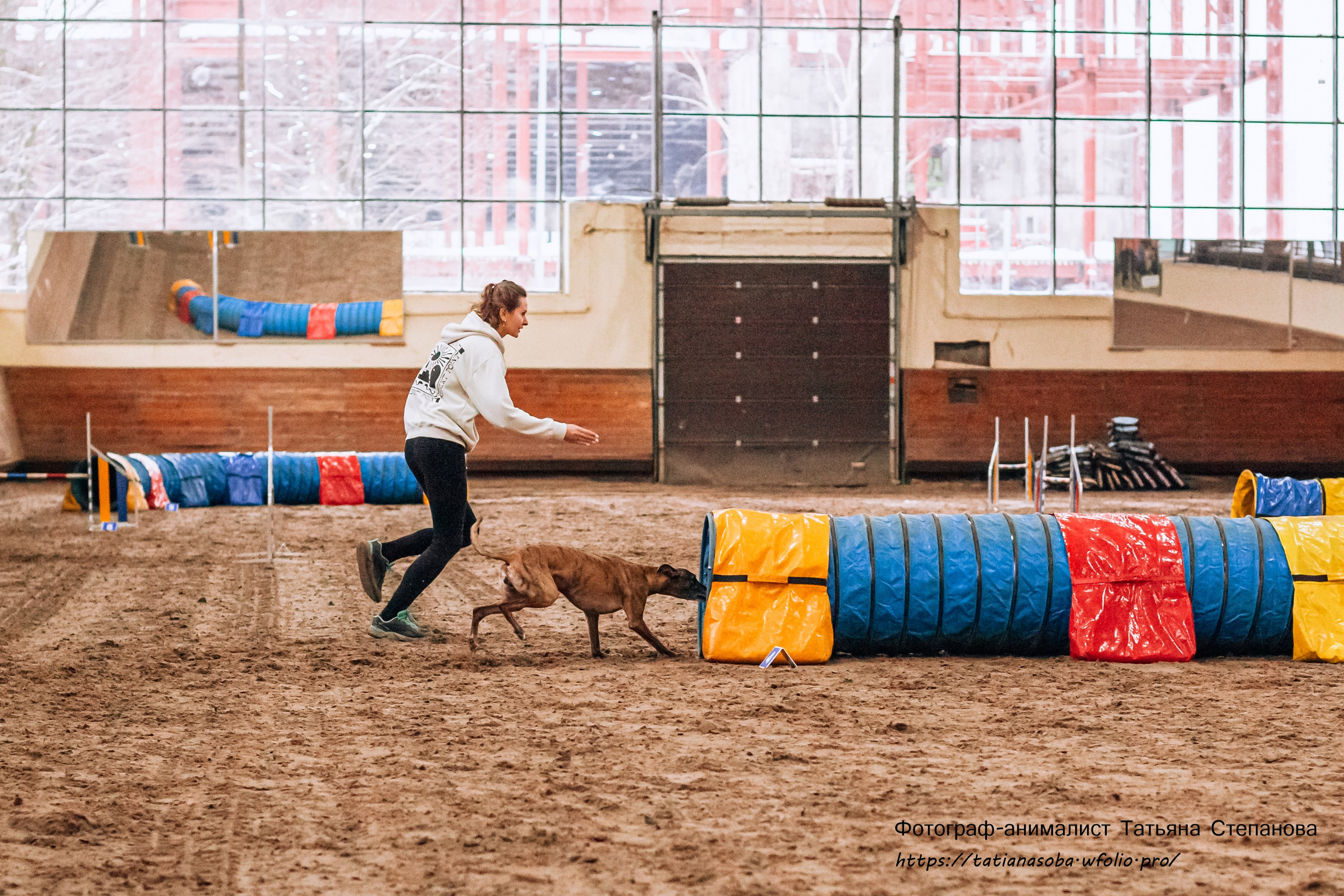 Соревнования по Аджилити 25.02.2024. Фотограф-анималист Татьяна Степанова
