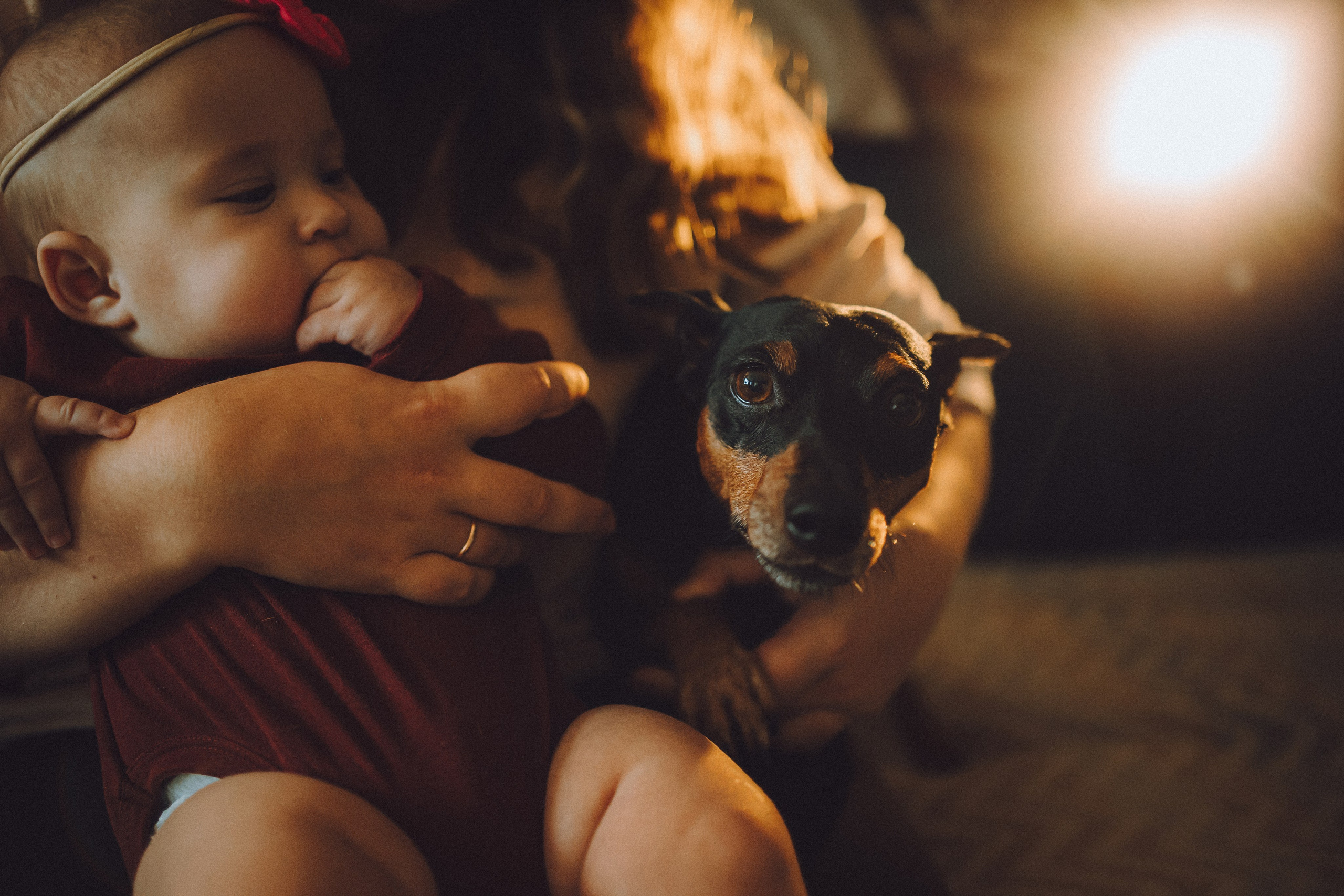 Топик и его семья