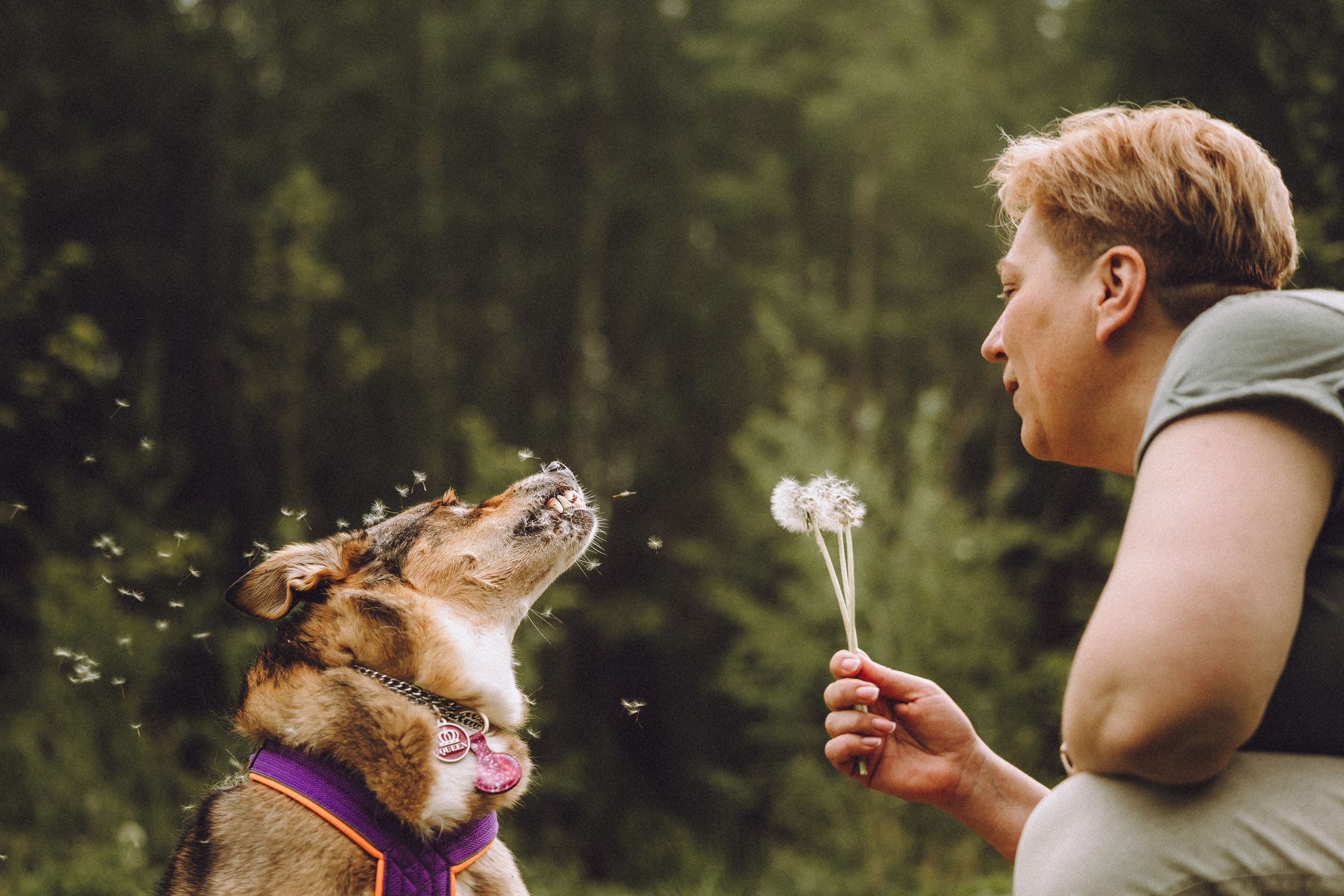 Груша, Данни, Фунтик и их семья