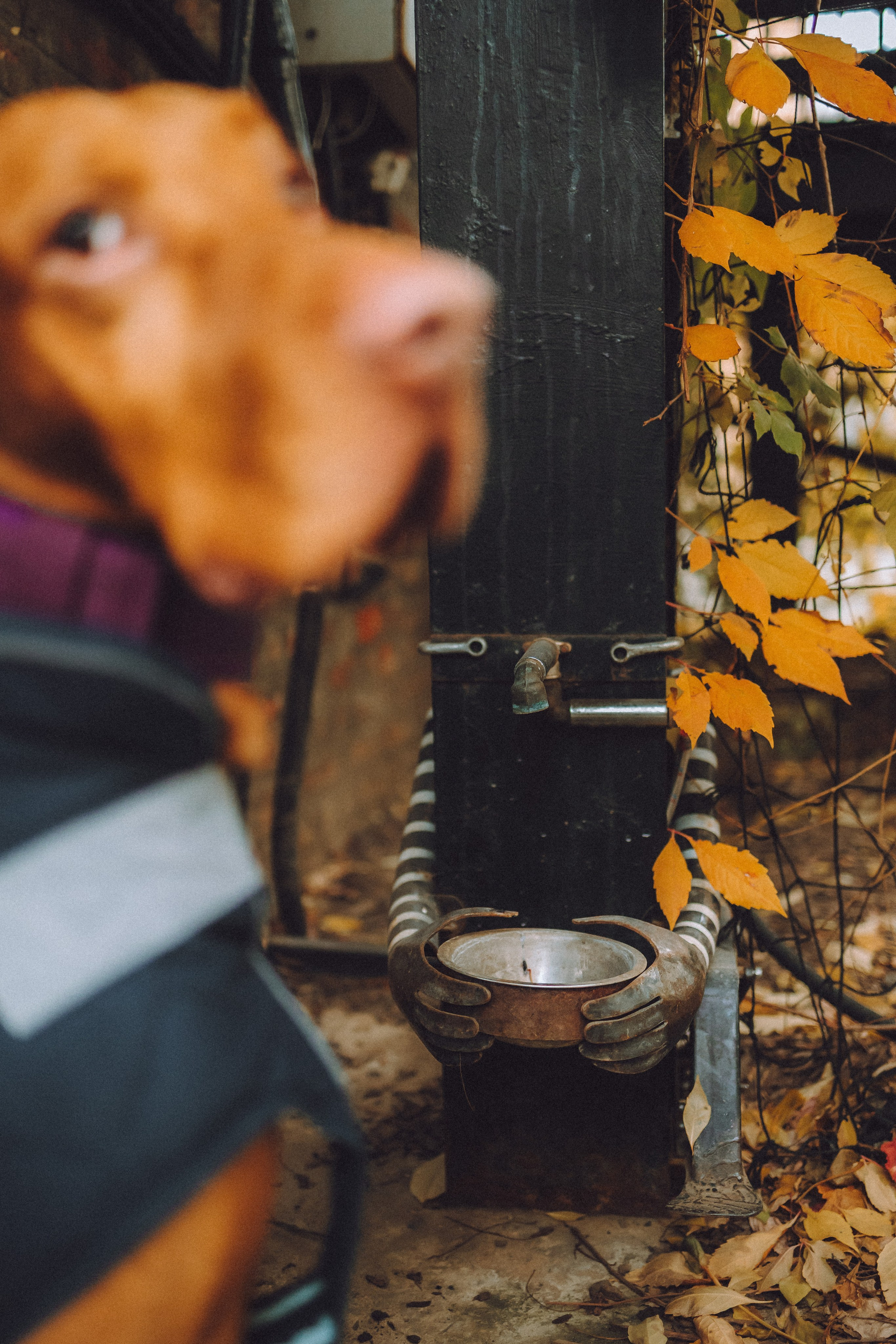 Екатерина и Даня