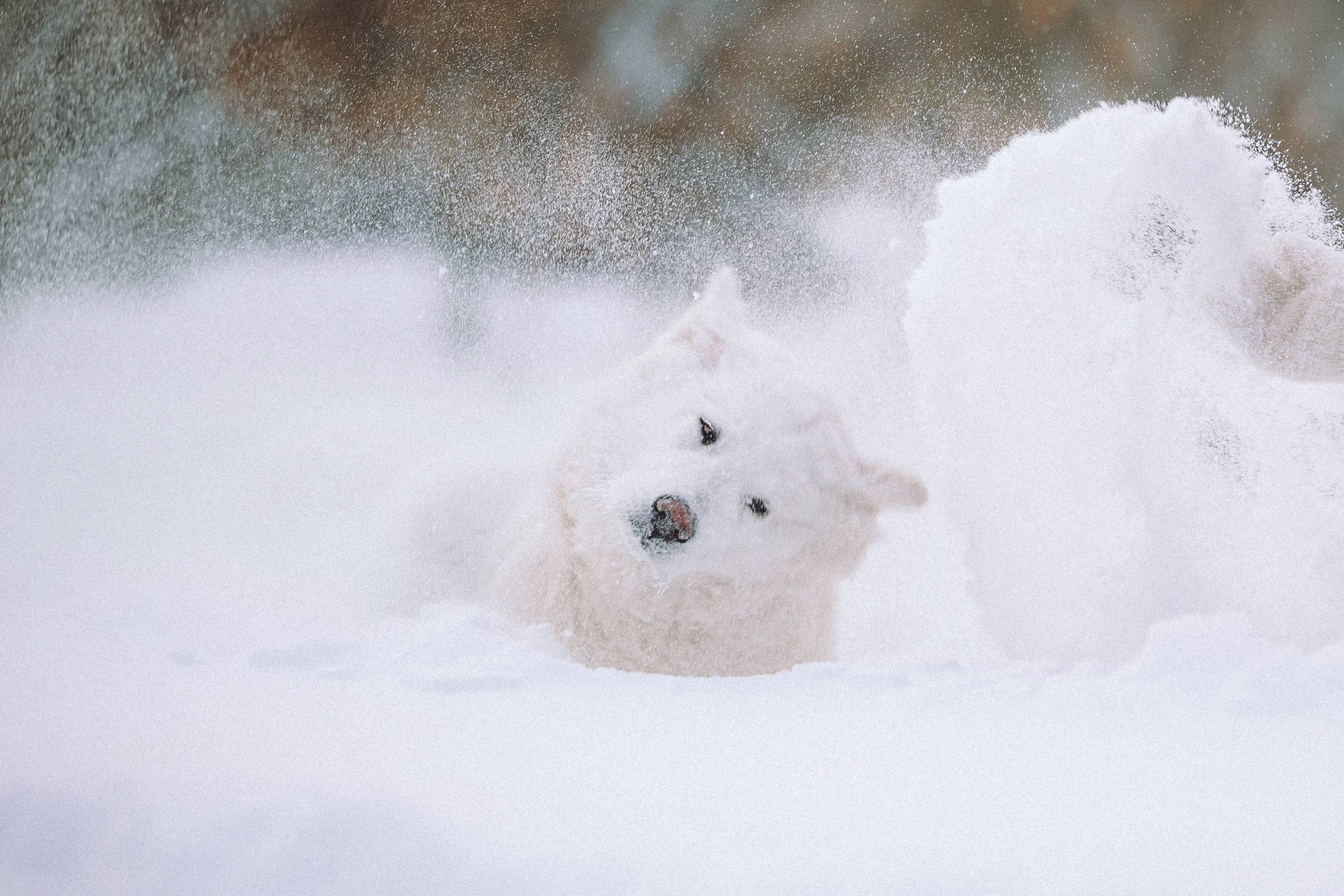 Мария и Мася
