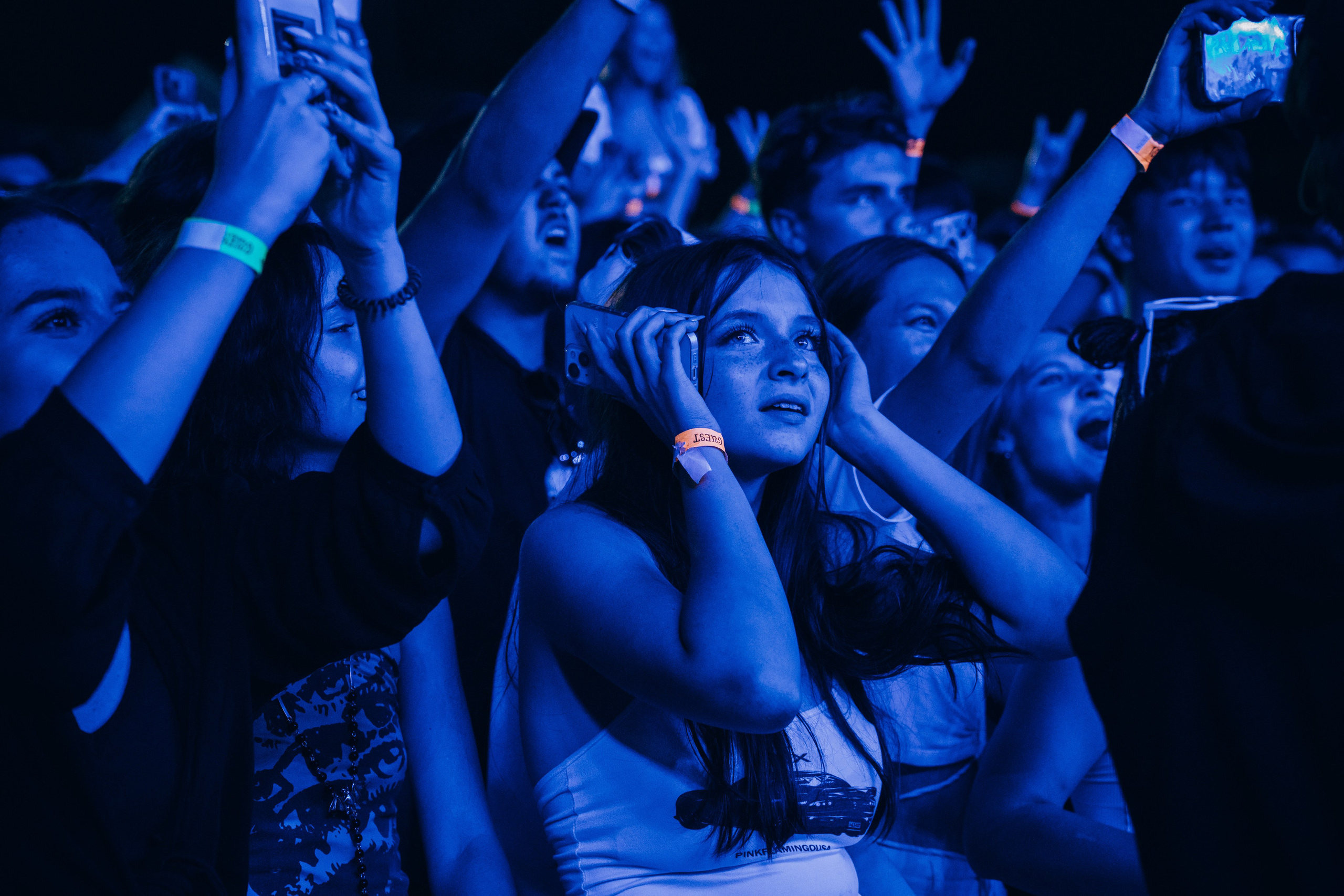 Picnic by partners. Главная