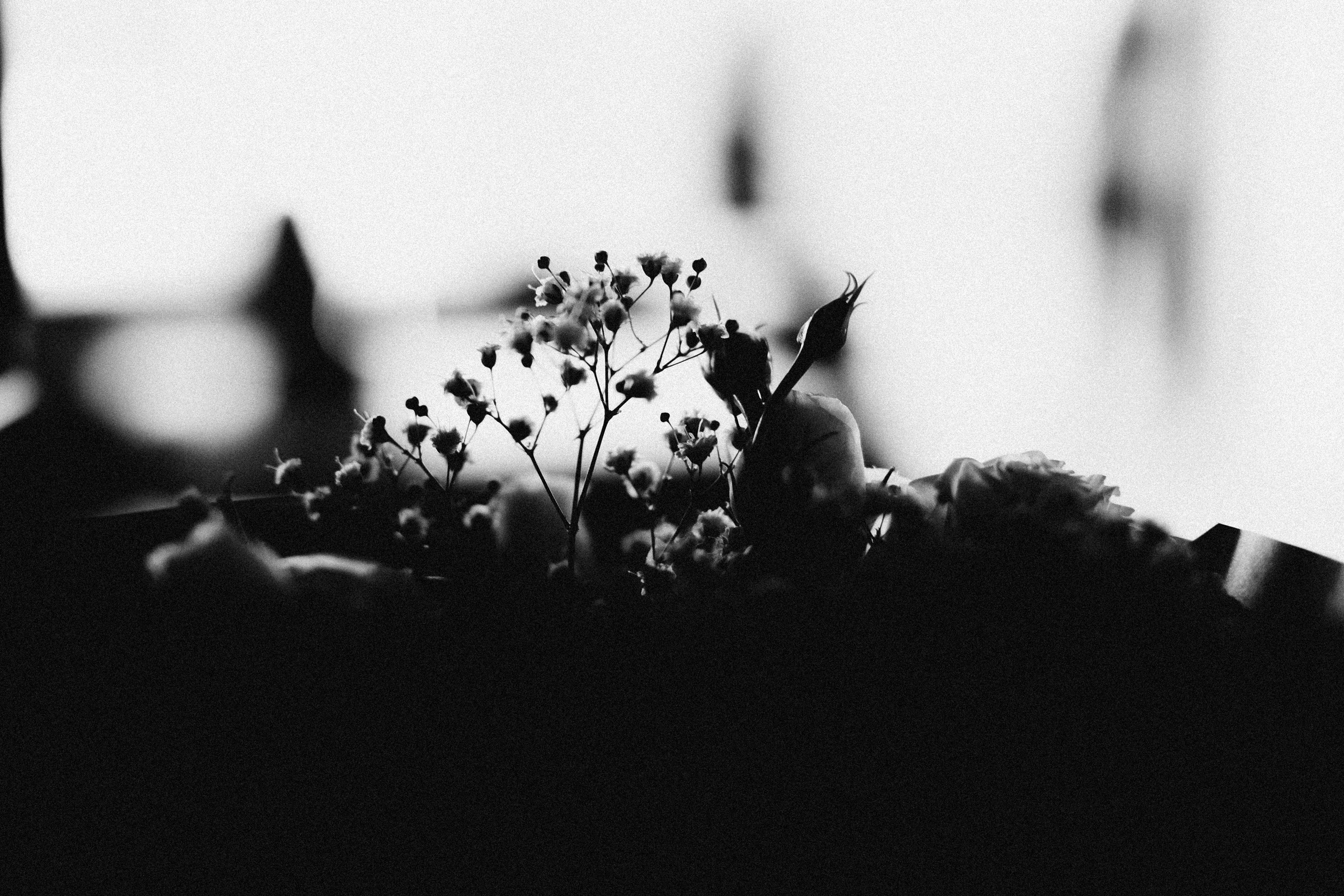 Мероприятие в Москва сити. Женский и контент фотограф в Москве