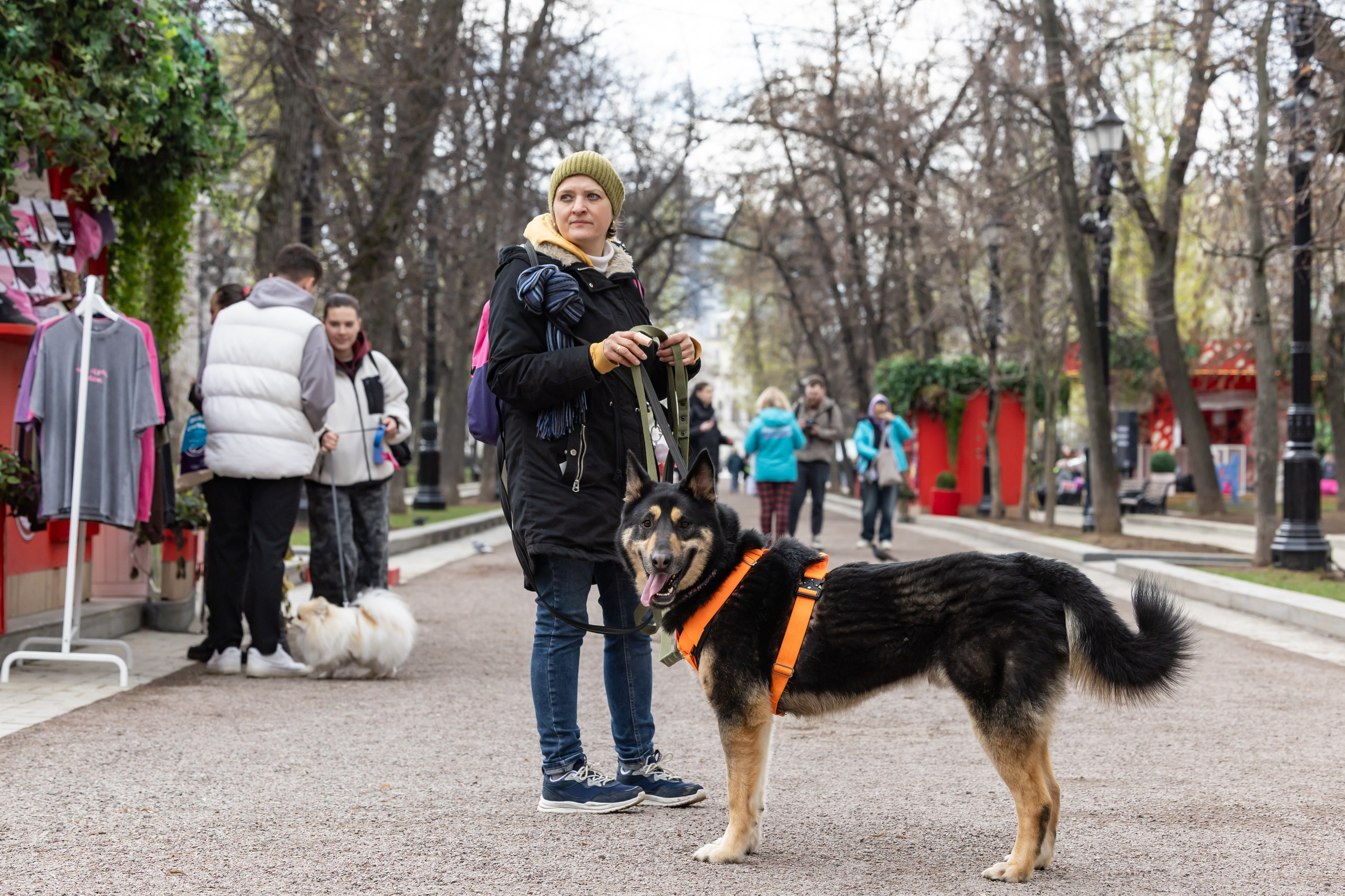 Проект «Моспитомец» на Тверском бульваре. Фотограф Владимир Охрименко