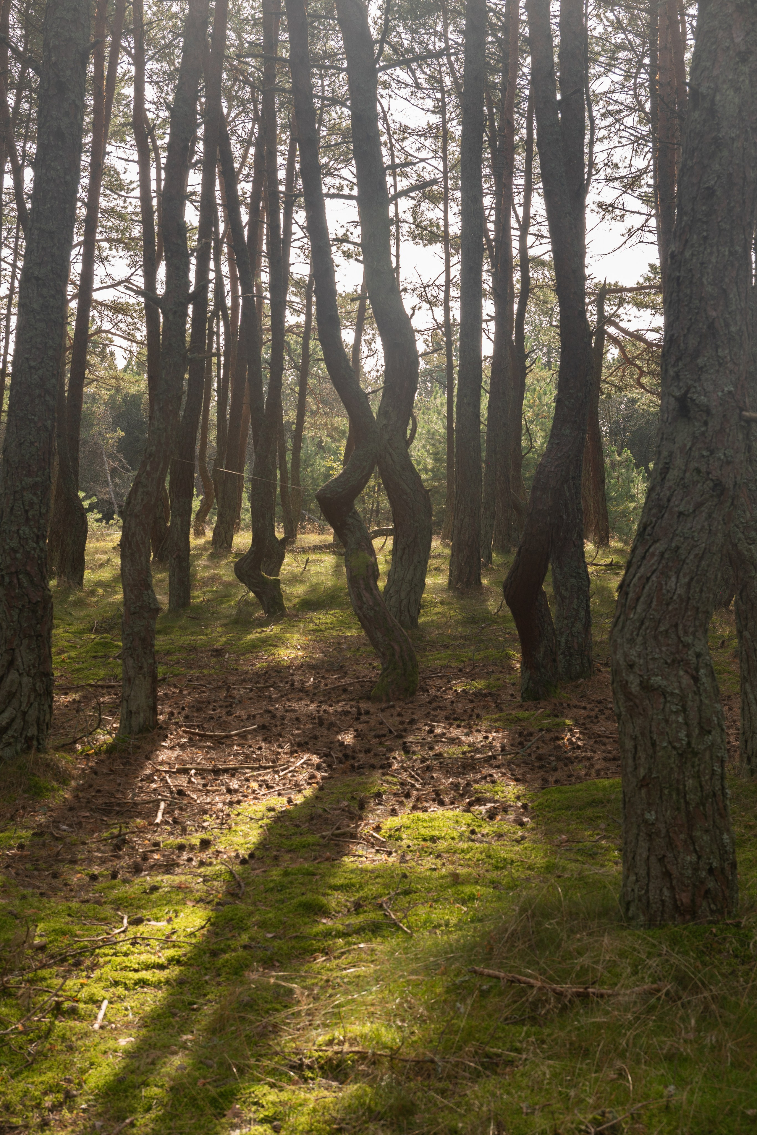 Калининградская область. Gusarov Travel Photography