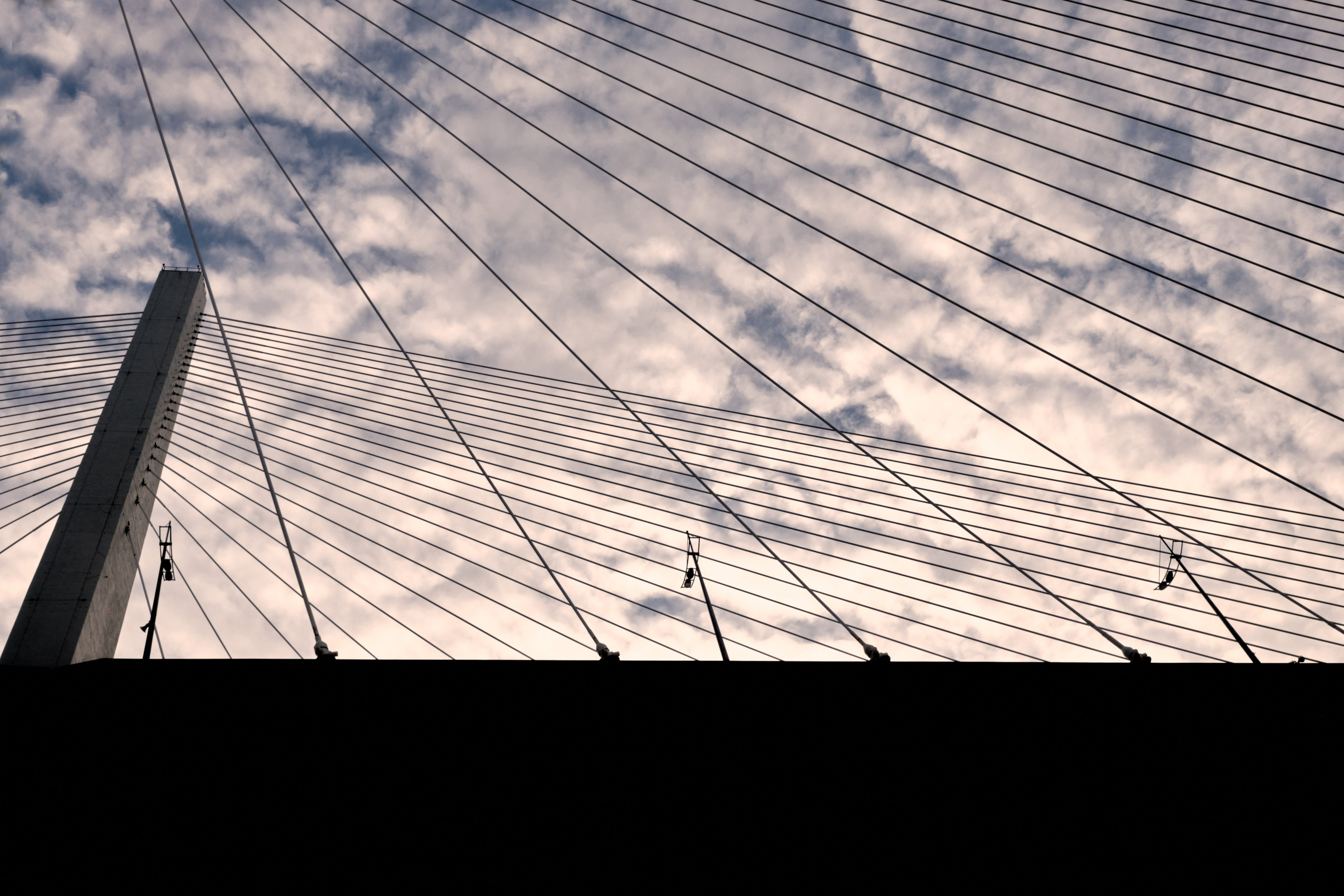 Москва — Владивосток. Охота за образами Мира. Shaltay Gallery