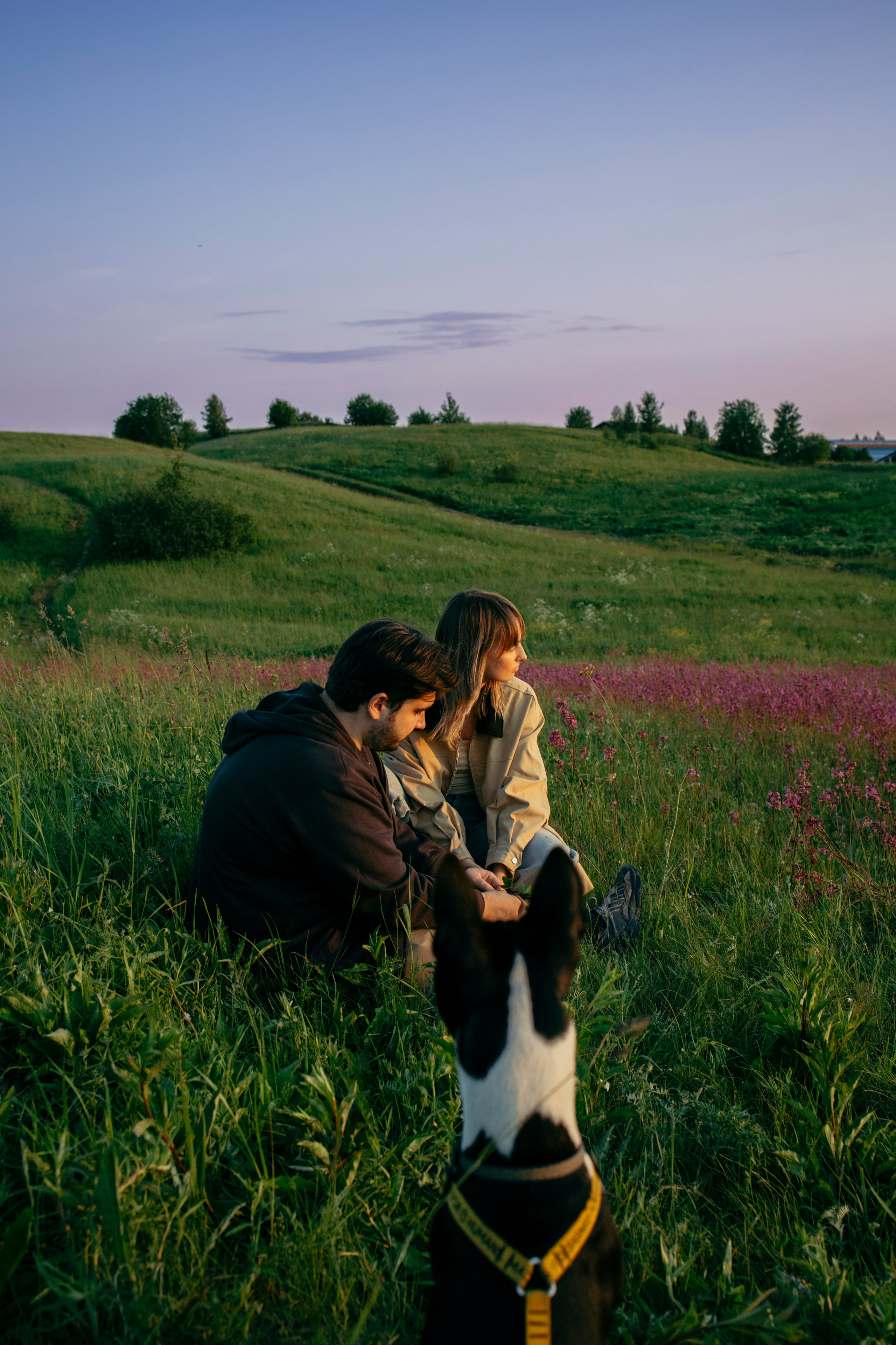 Итачи и его семья 🐾. Фотограф-анималист в Санкт-Петеребурге Титова Алиса
