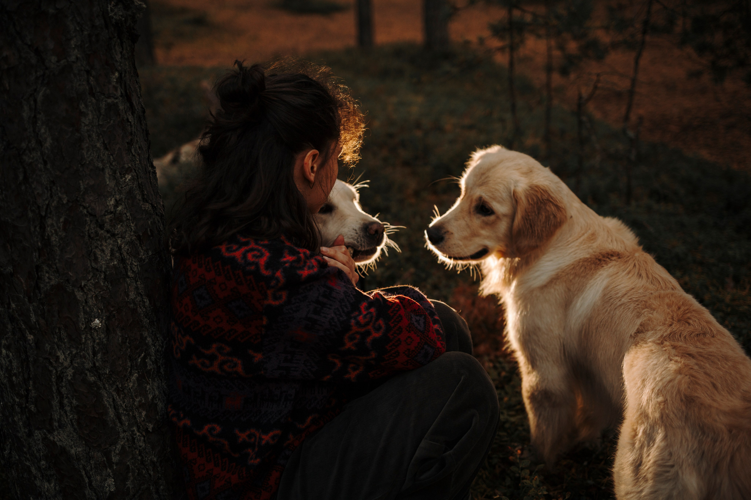 Прогулка Насти с Арчи и Арагоном. Фотограф-анималист в Санкт-Петеребурге Титова Алиса