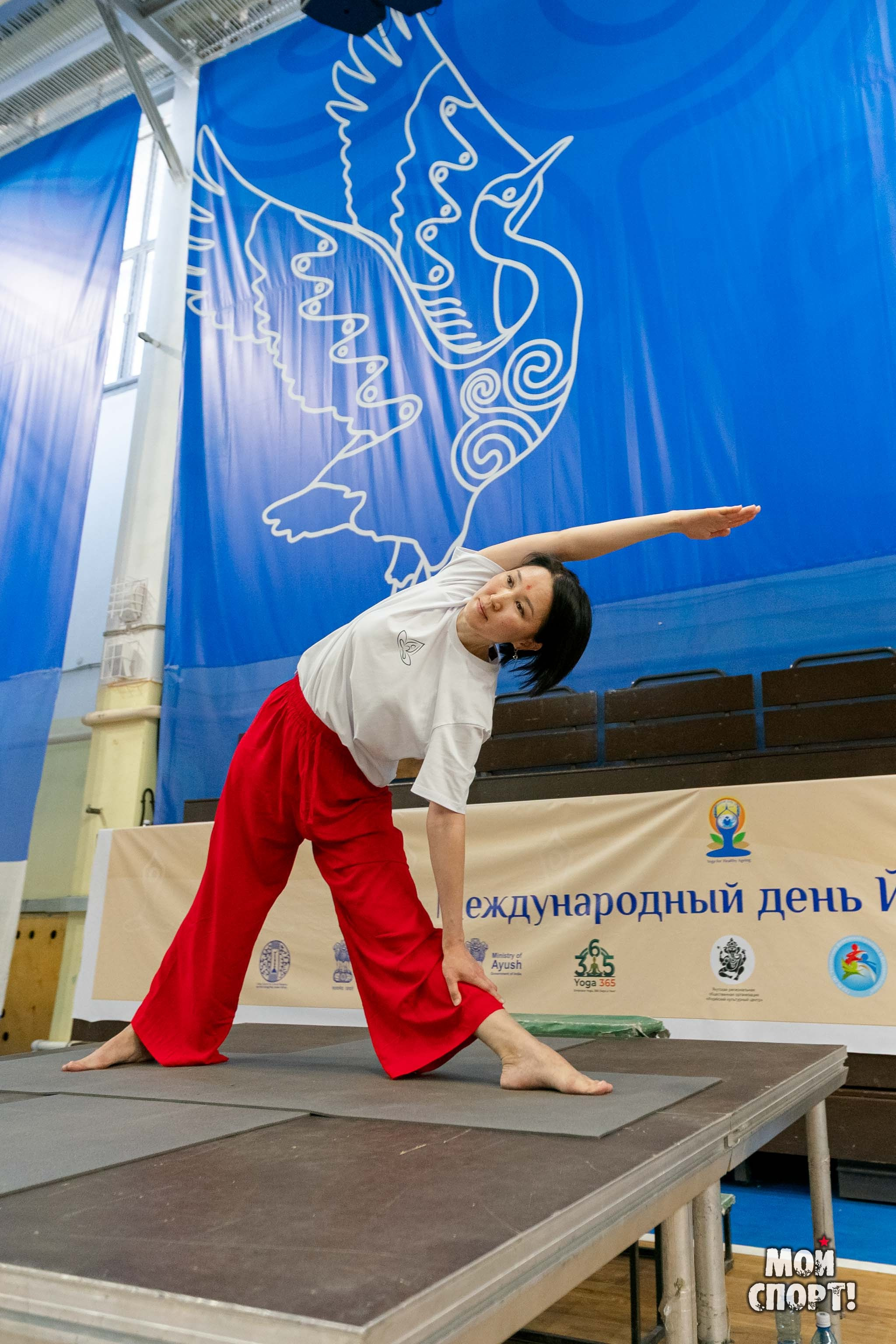 XII Международный день йоги — 2026. Студия «Мой Спорт!» — все о спорте в Якутии