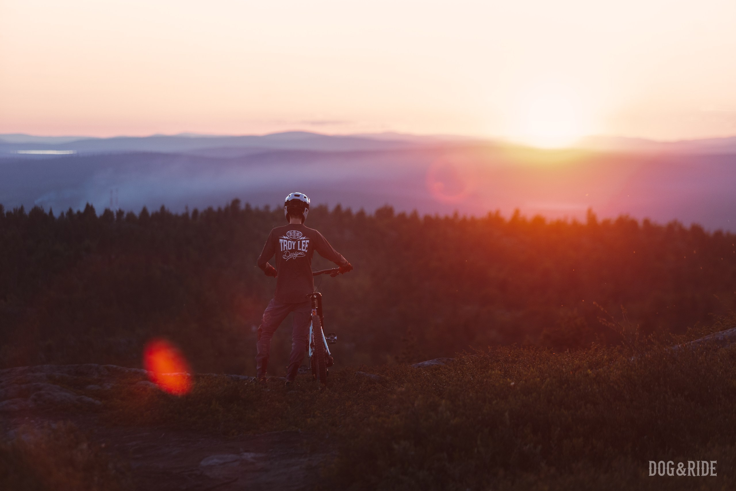 Кандалакшка. Фотограф анималист Никита Натальный