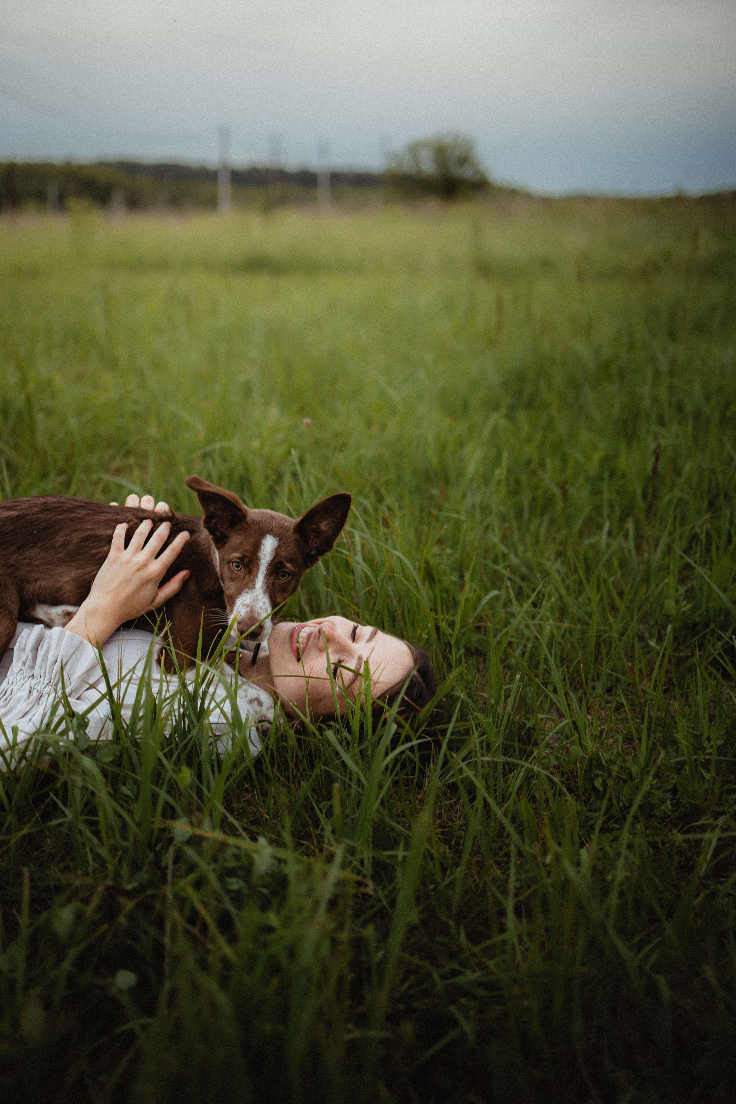 Выездной дог-тренинг от школы «Шерсть имею»