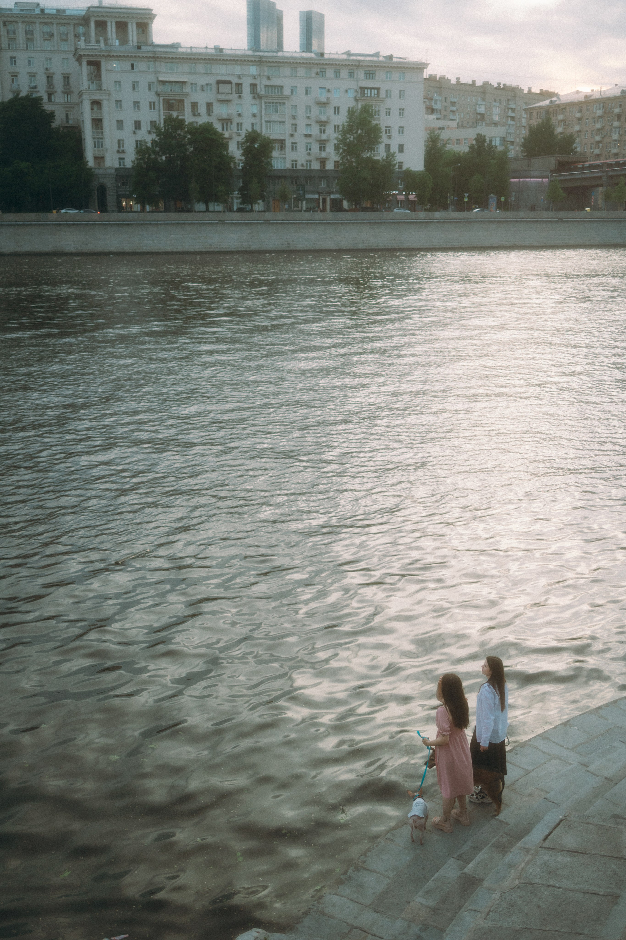 Глаша, Айрон, Ксюша и Оля. Фотограф анималист Анастасия Пикей