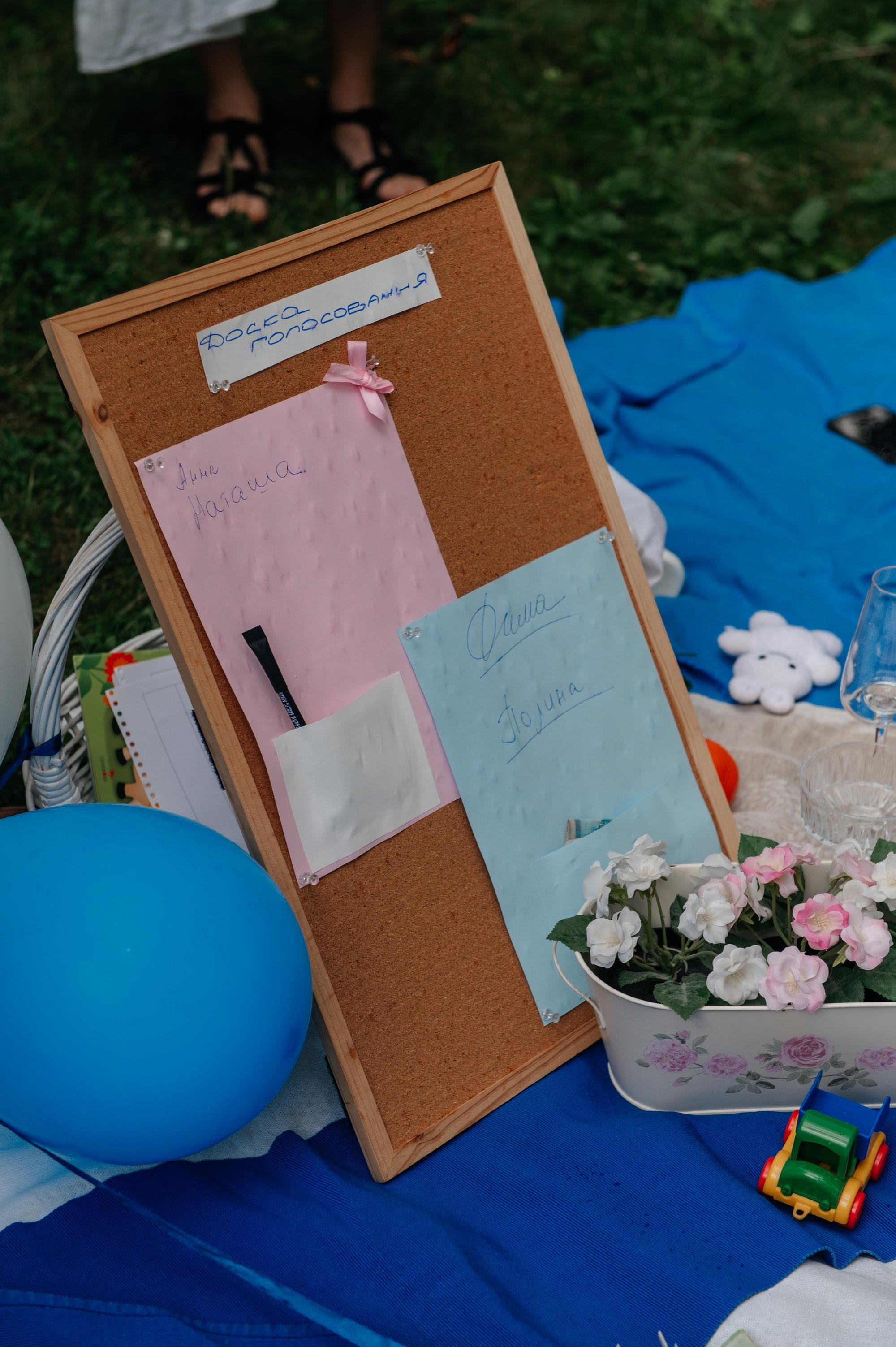 Gender party. Свадебный фотограф в Москве Юлия Лисой