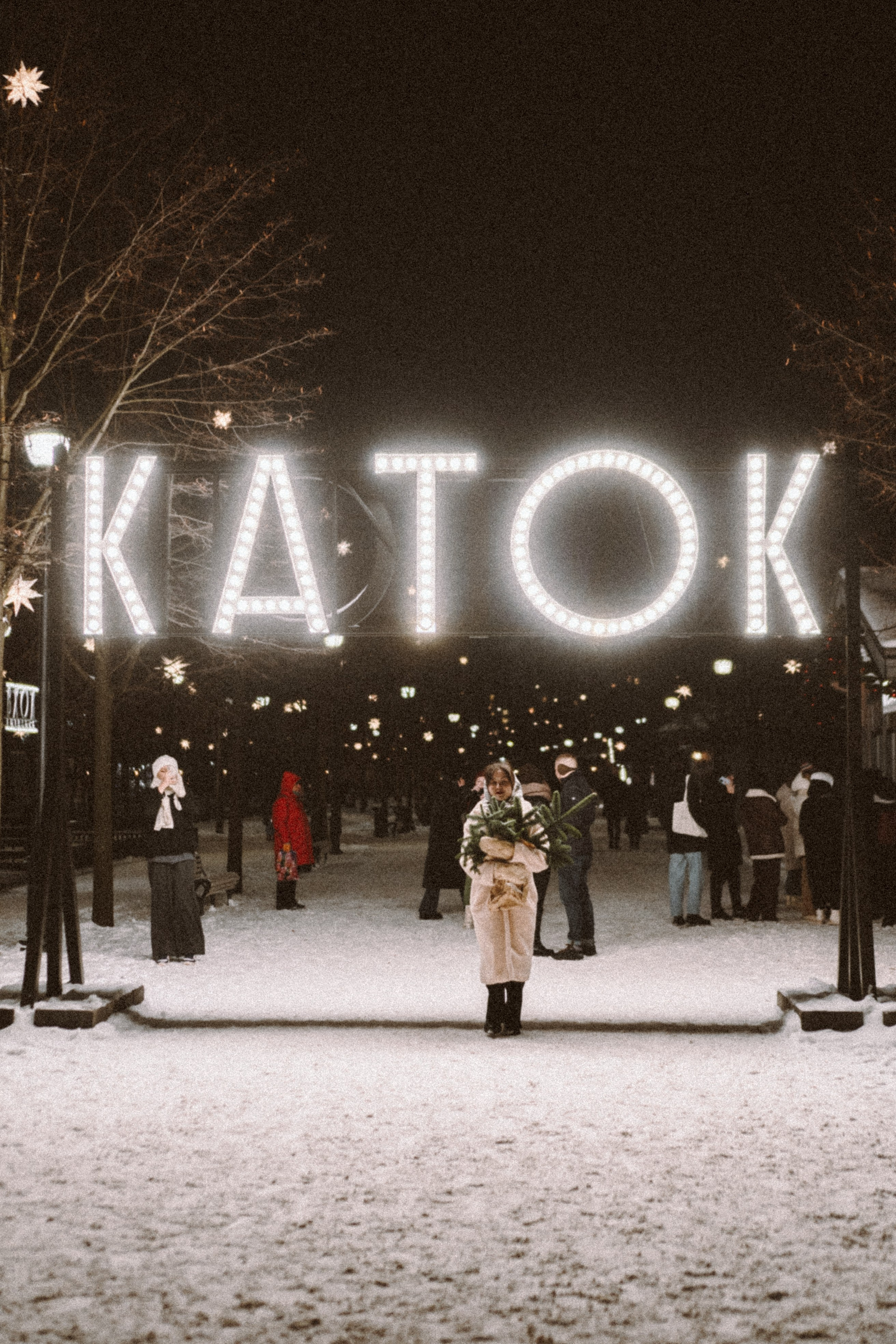 Зимняя сказка в Новой Голандии. Профессиональный фотограф, Санкт-Петербург — Виктория Богомолова