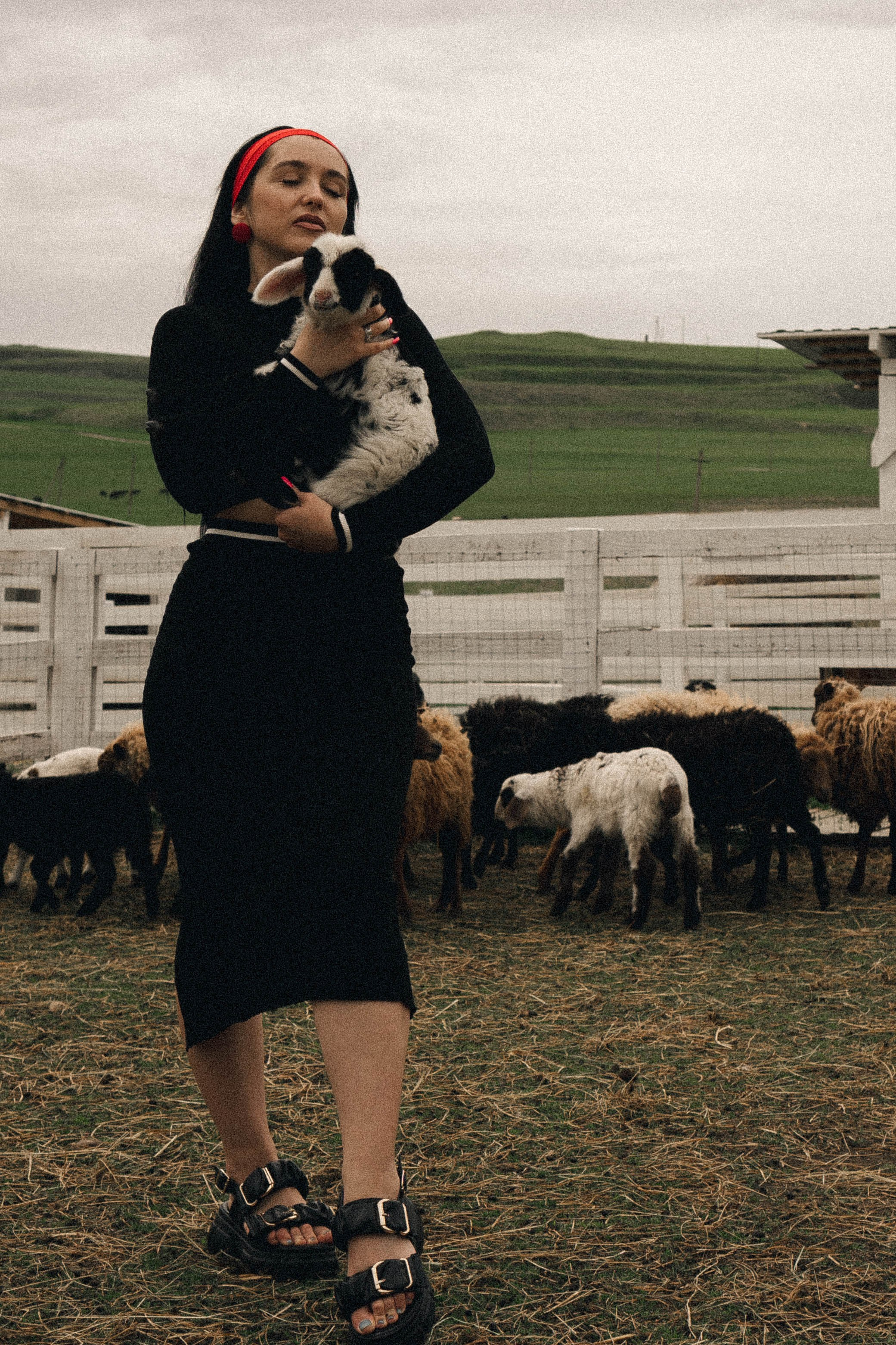 Ферма Альпак. Профессиональный фотограф, Санкт-Петербург — Виктория Богомолова